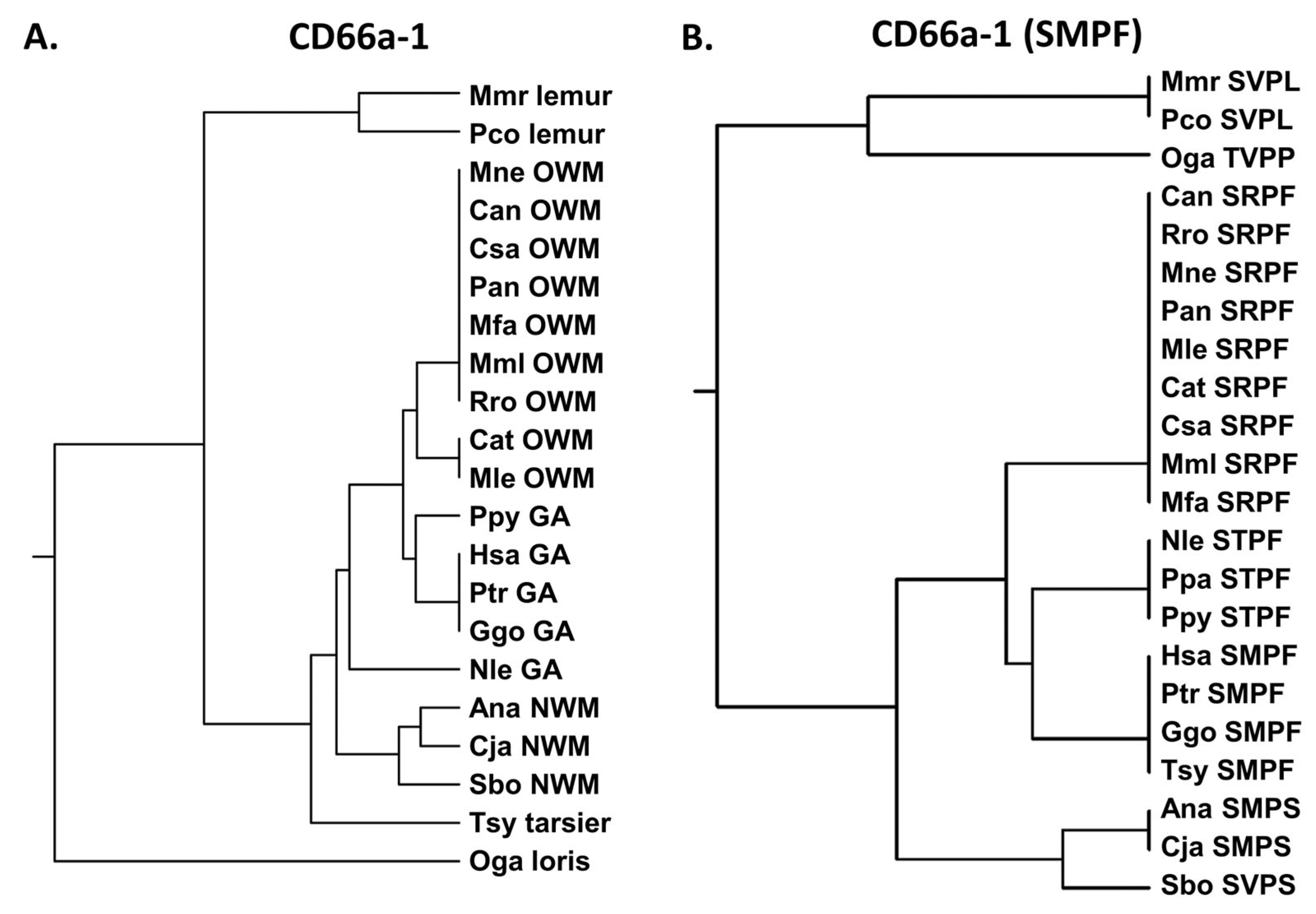 Biology 14 01744 g003 Biology 14 01744 g003