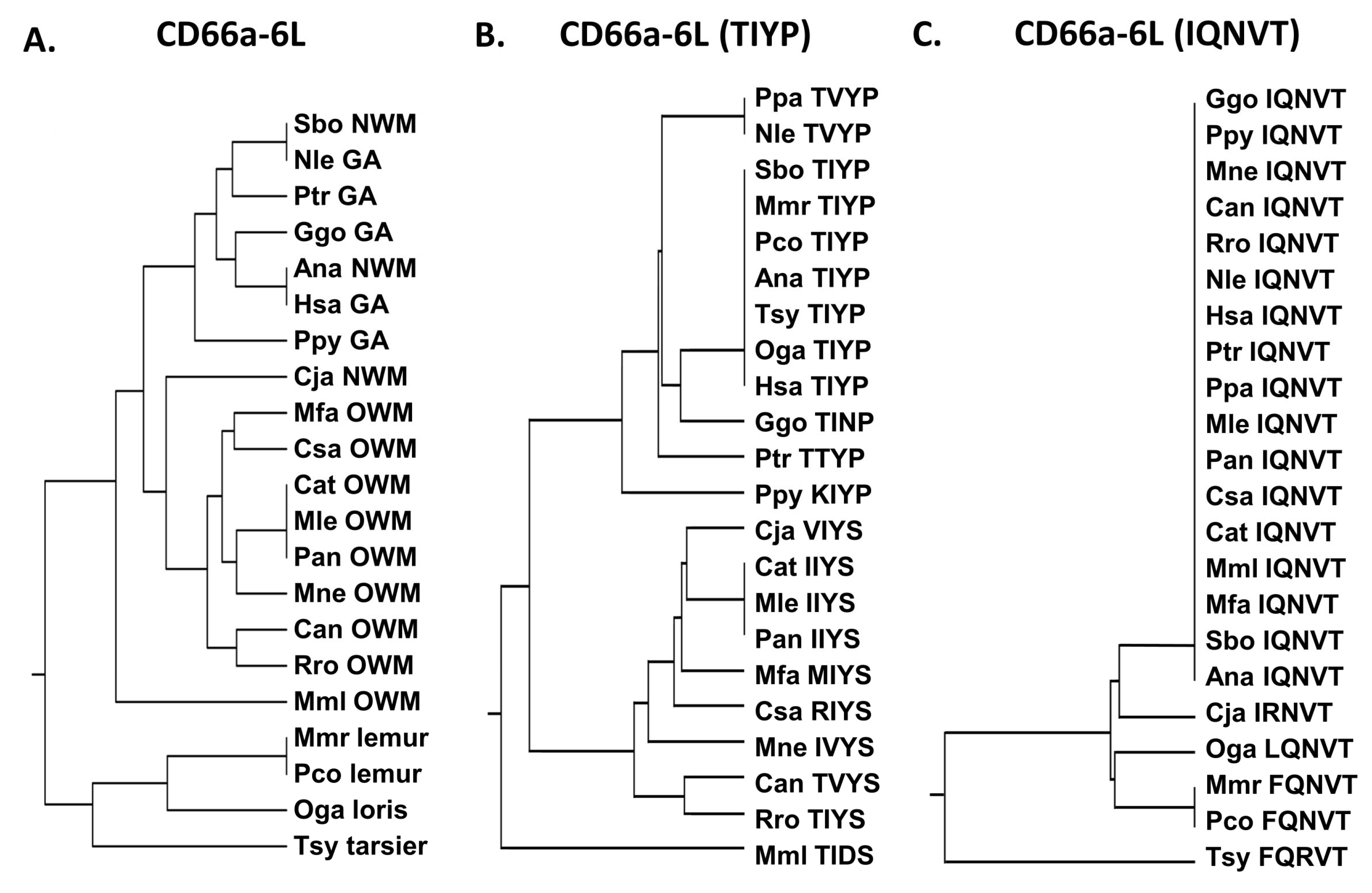 Biology 14 01744 g006 Biology 14 01744 g006