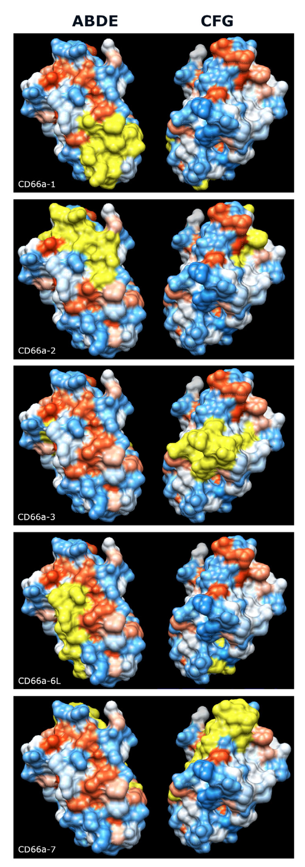 Biology 14 01744 g010 Biology 14 01744 g010