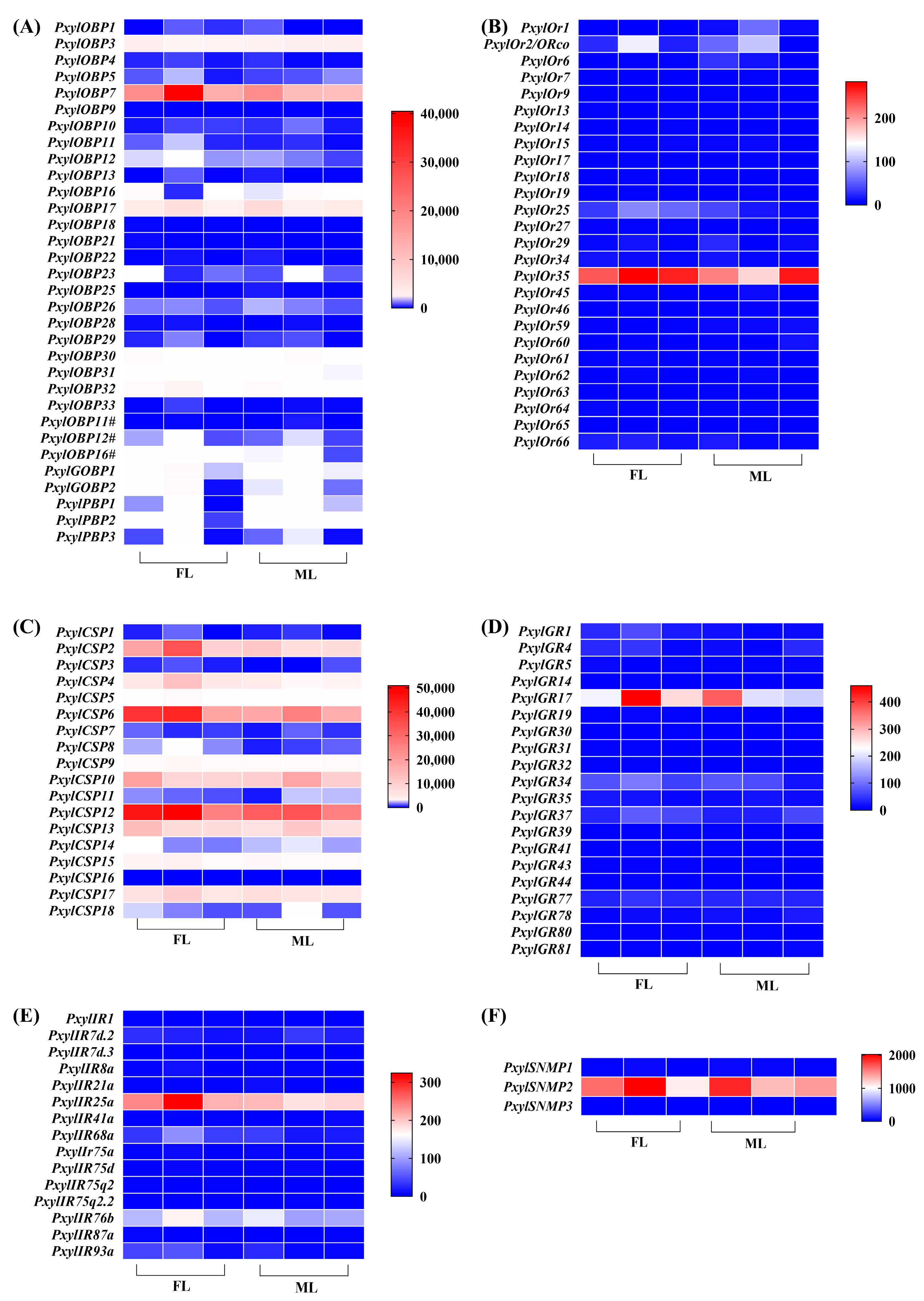 Biology 14 01746 g002 Biology 14 01746 g002