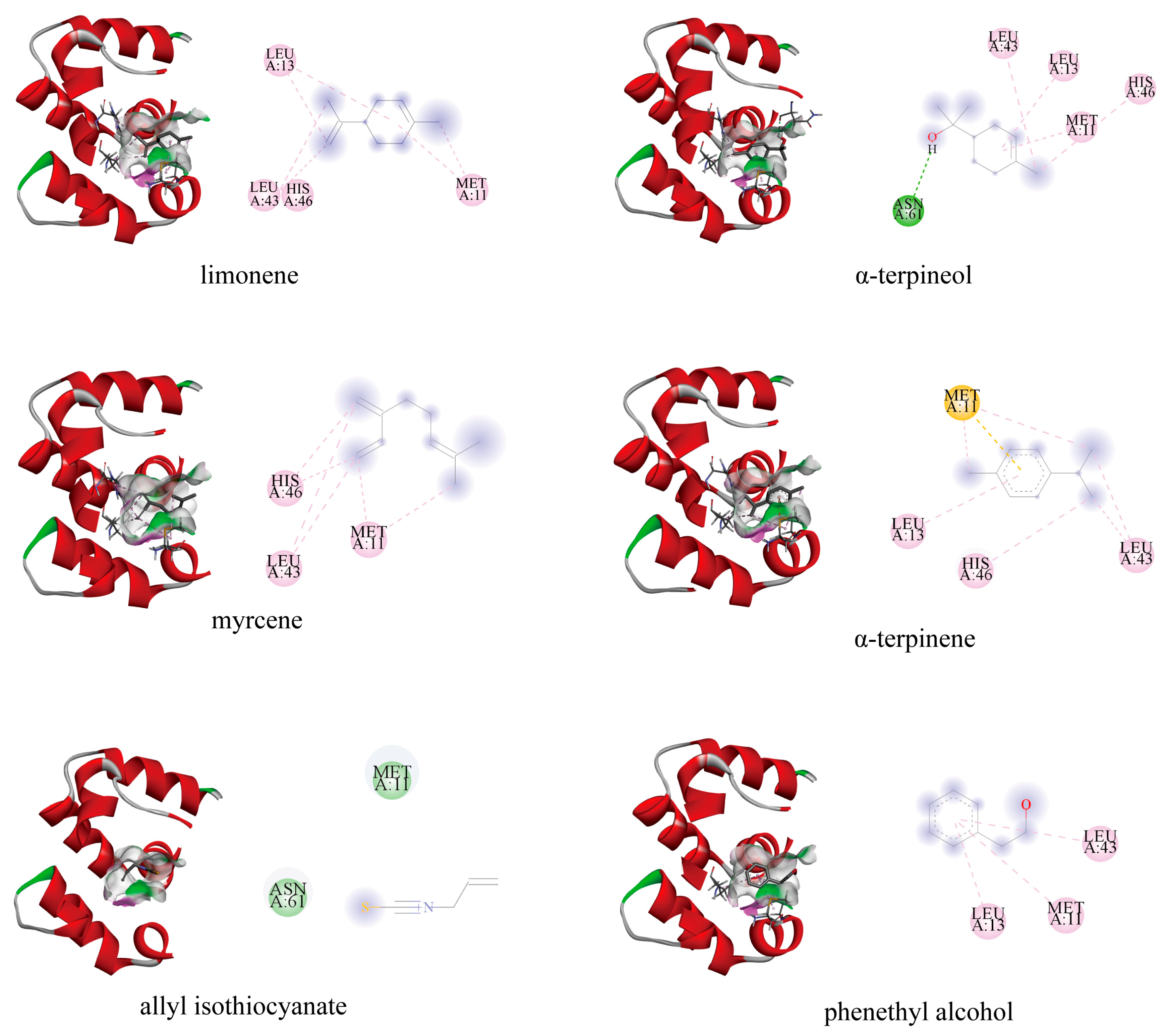 Biology 14 01746 g008 Biology 14 01746 g008