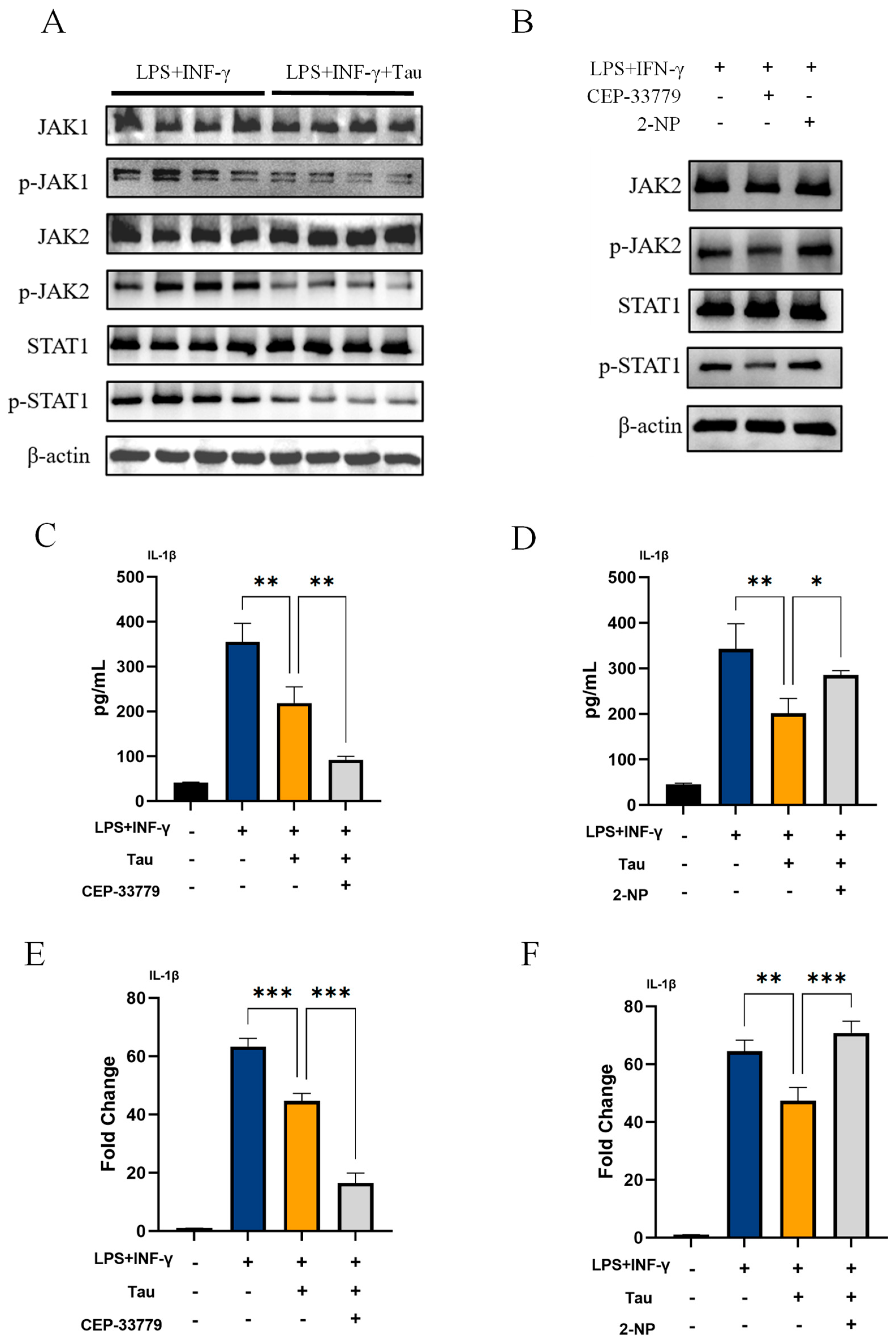 Biology 14 01751 g003