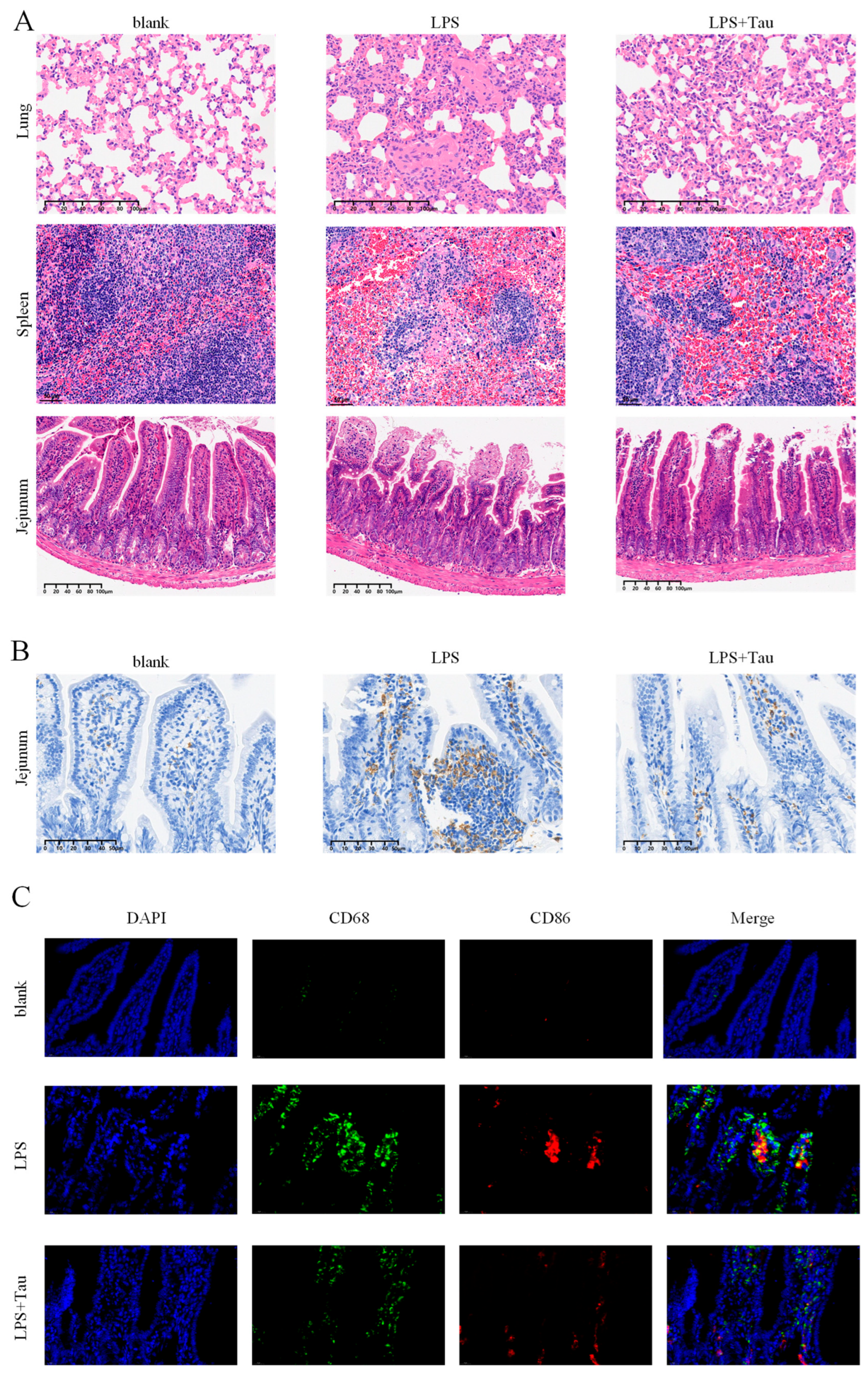 Biology 14 01751 g005