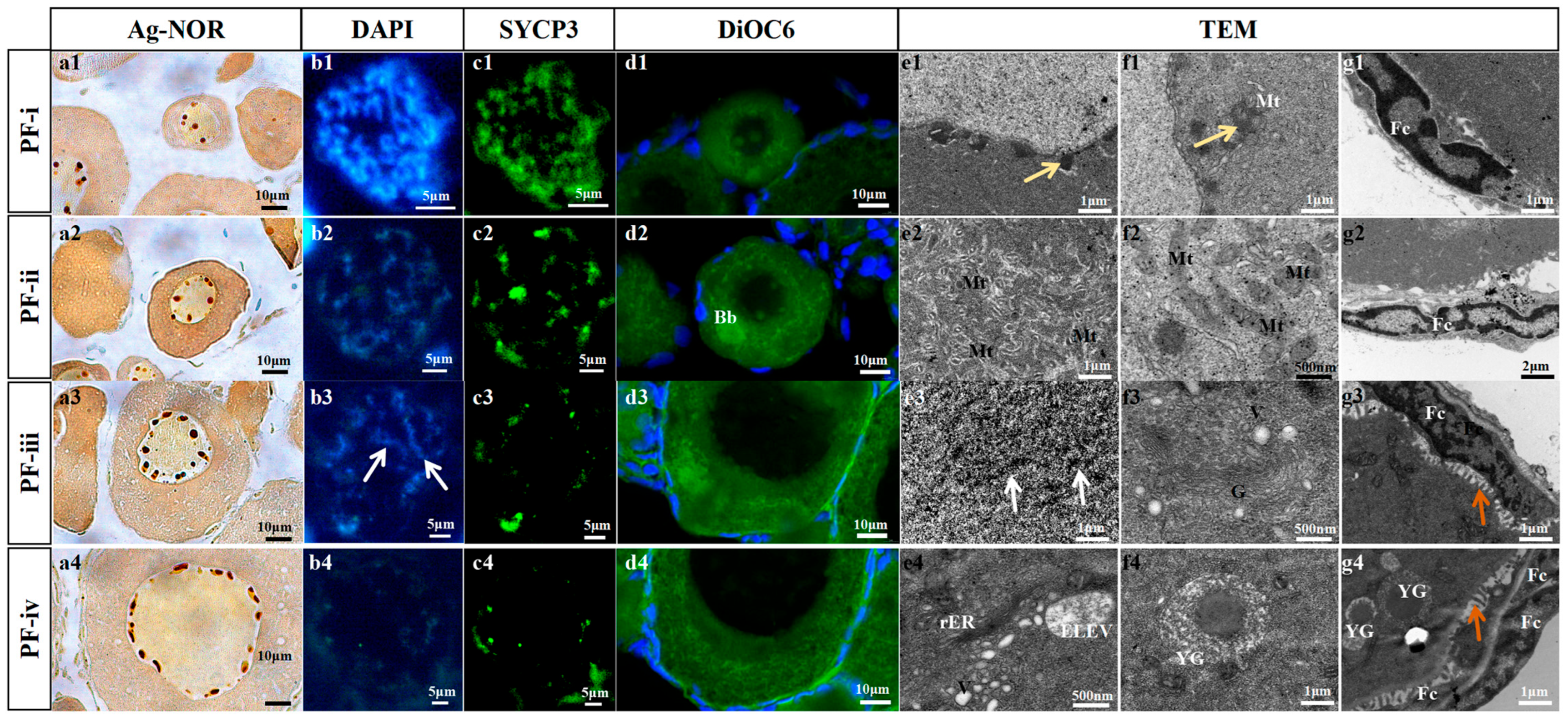 Biology 14 01752 g001 Biology 14 01752 g001