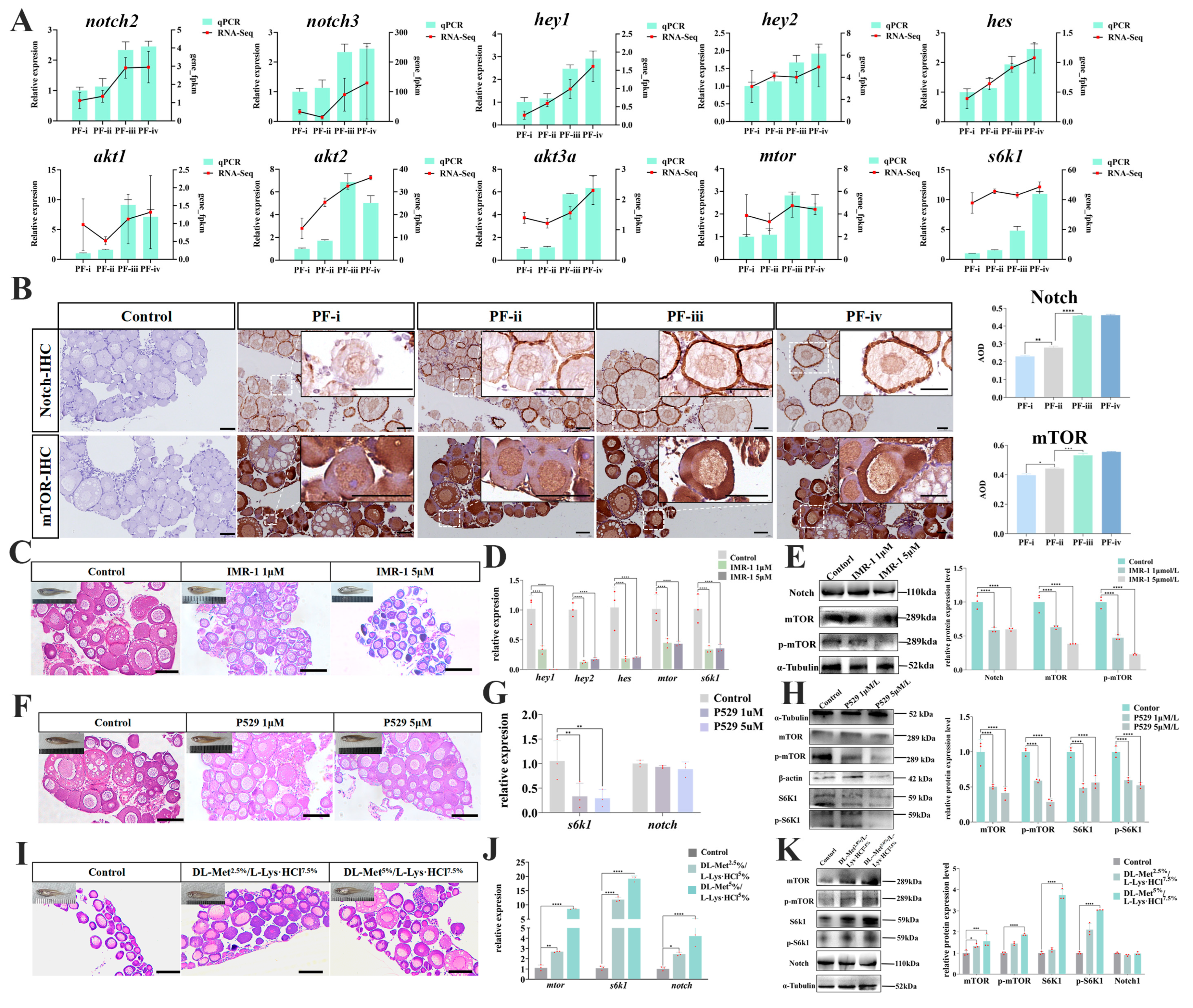 Biology 14 01752 g004 Biology 14 01752 g004