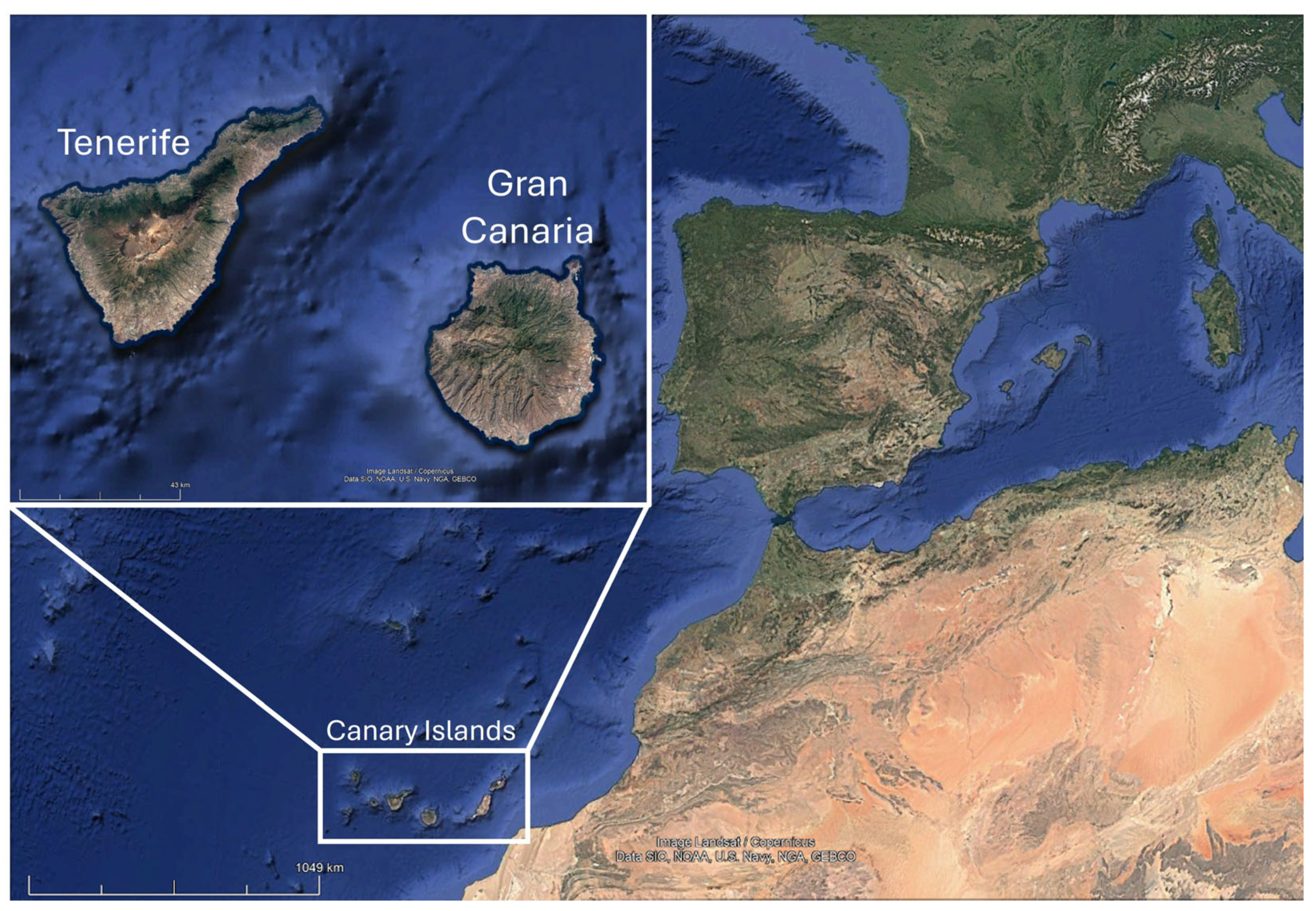 Biology 14 01753 g001 Biology 14 01753 g001