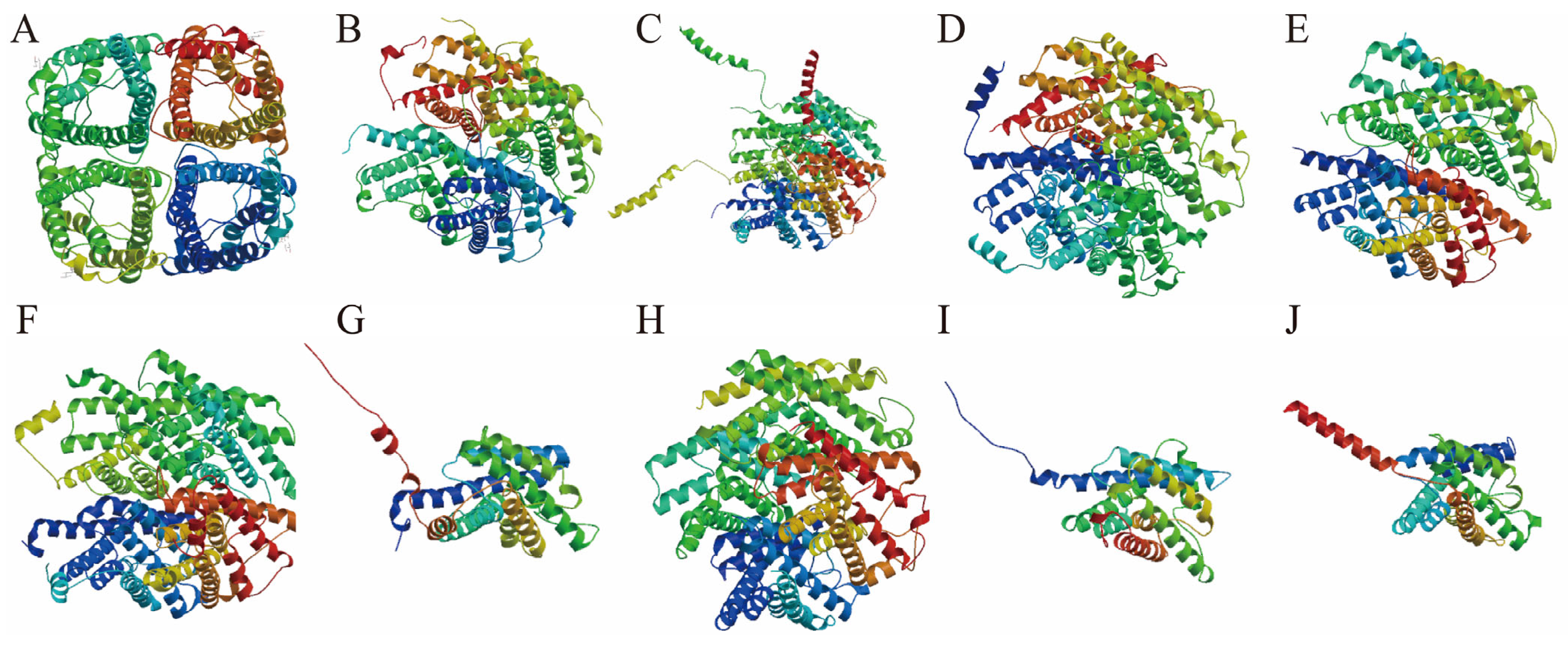 Biology 14 01755 g003 Biology 14 01755 g003