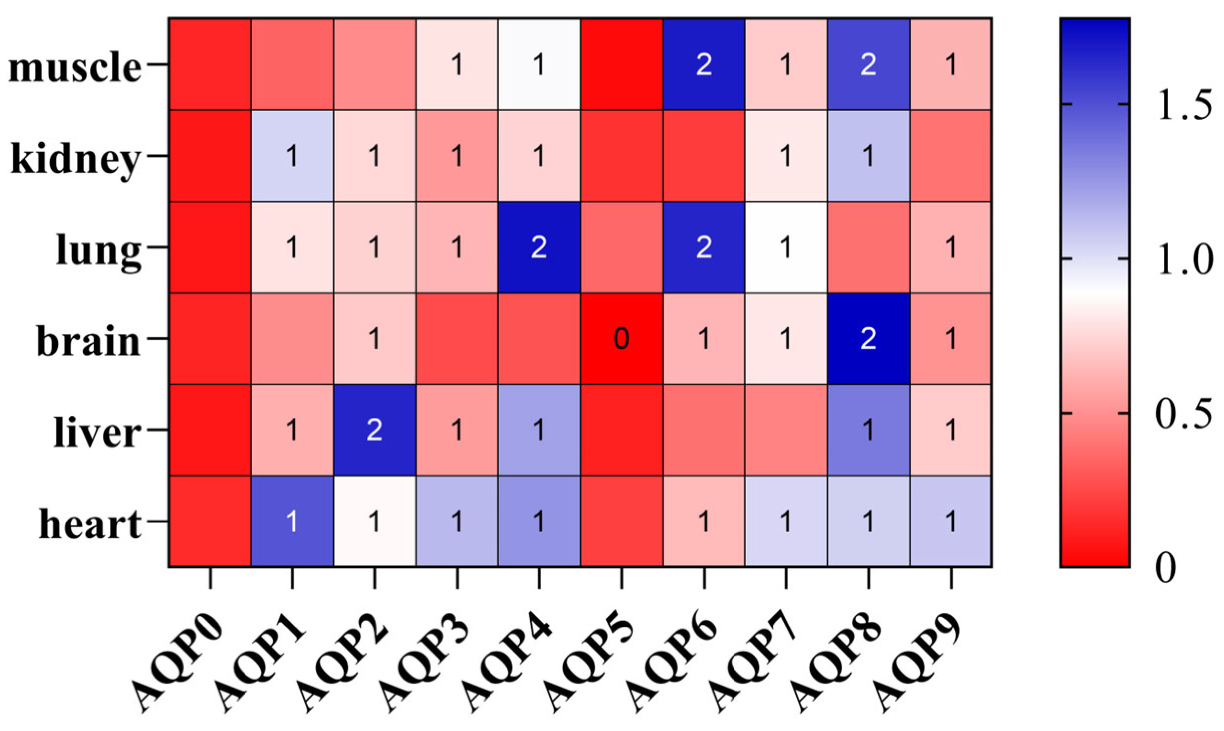 Biology 14 01755 g004 Biology 14 01755 g004