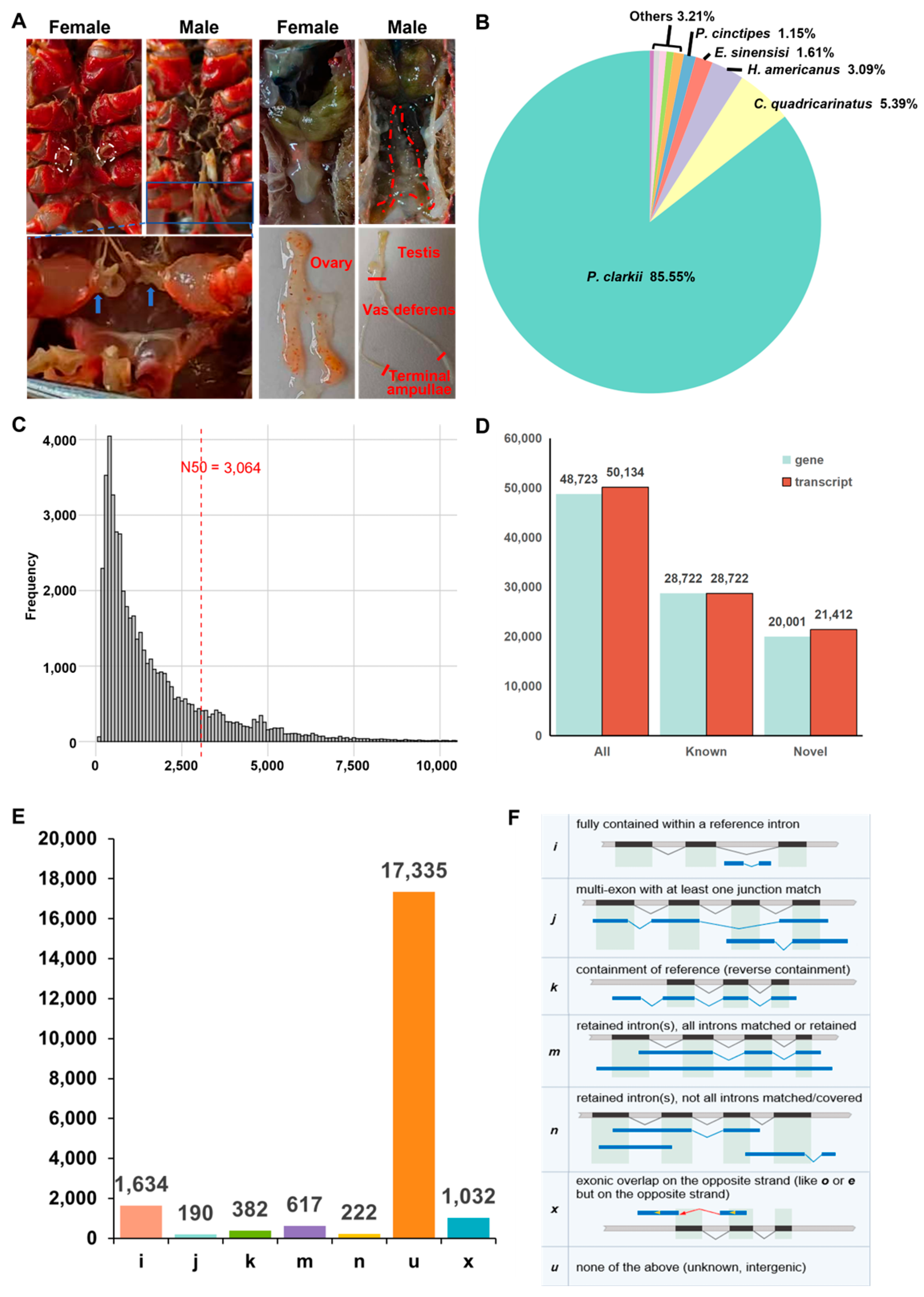 Biology 14 01757 g001 Biology 14 01757 g001