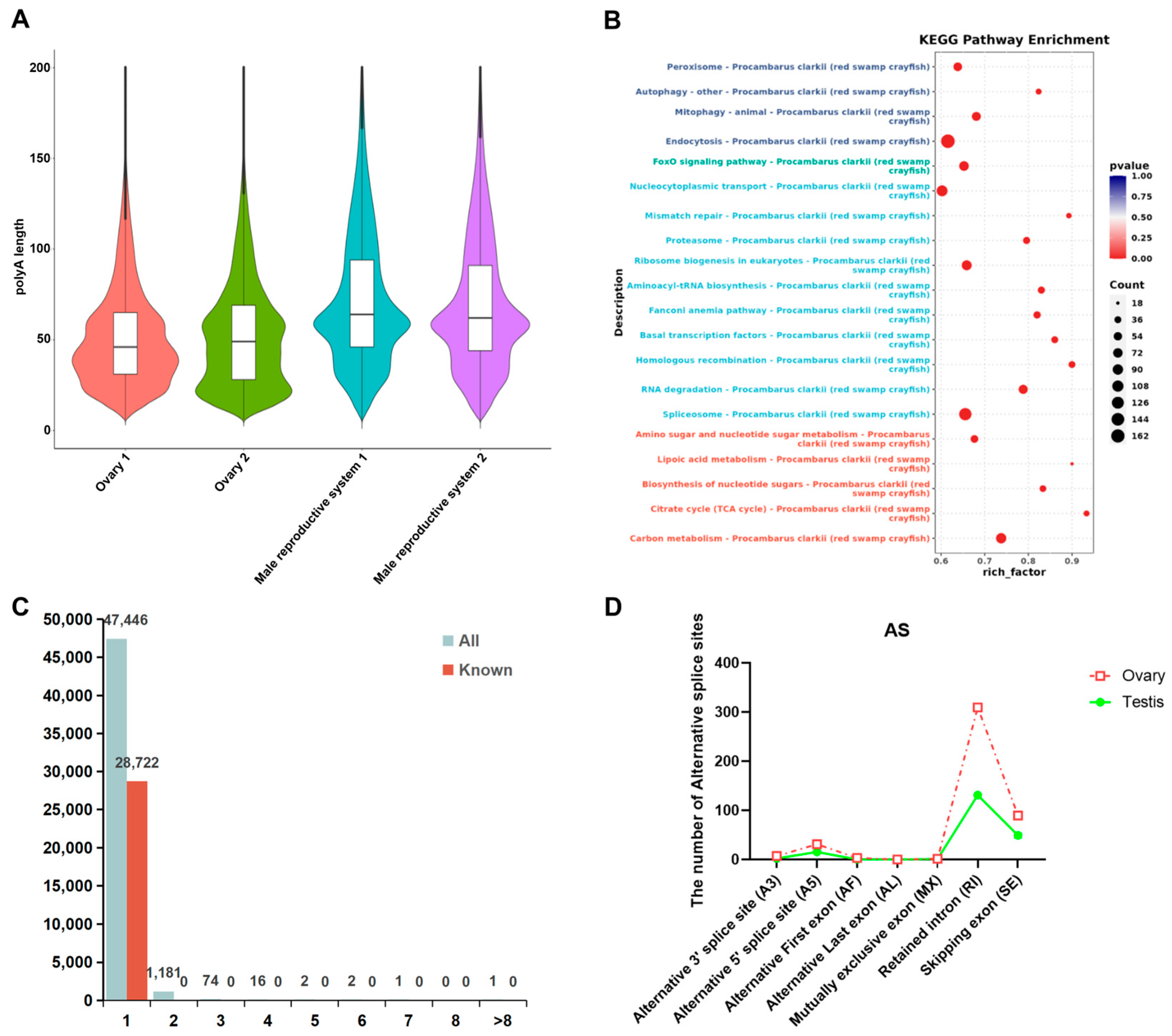 Biology 14 01757 g003 Biology 14 01757 g003