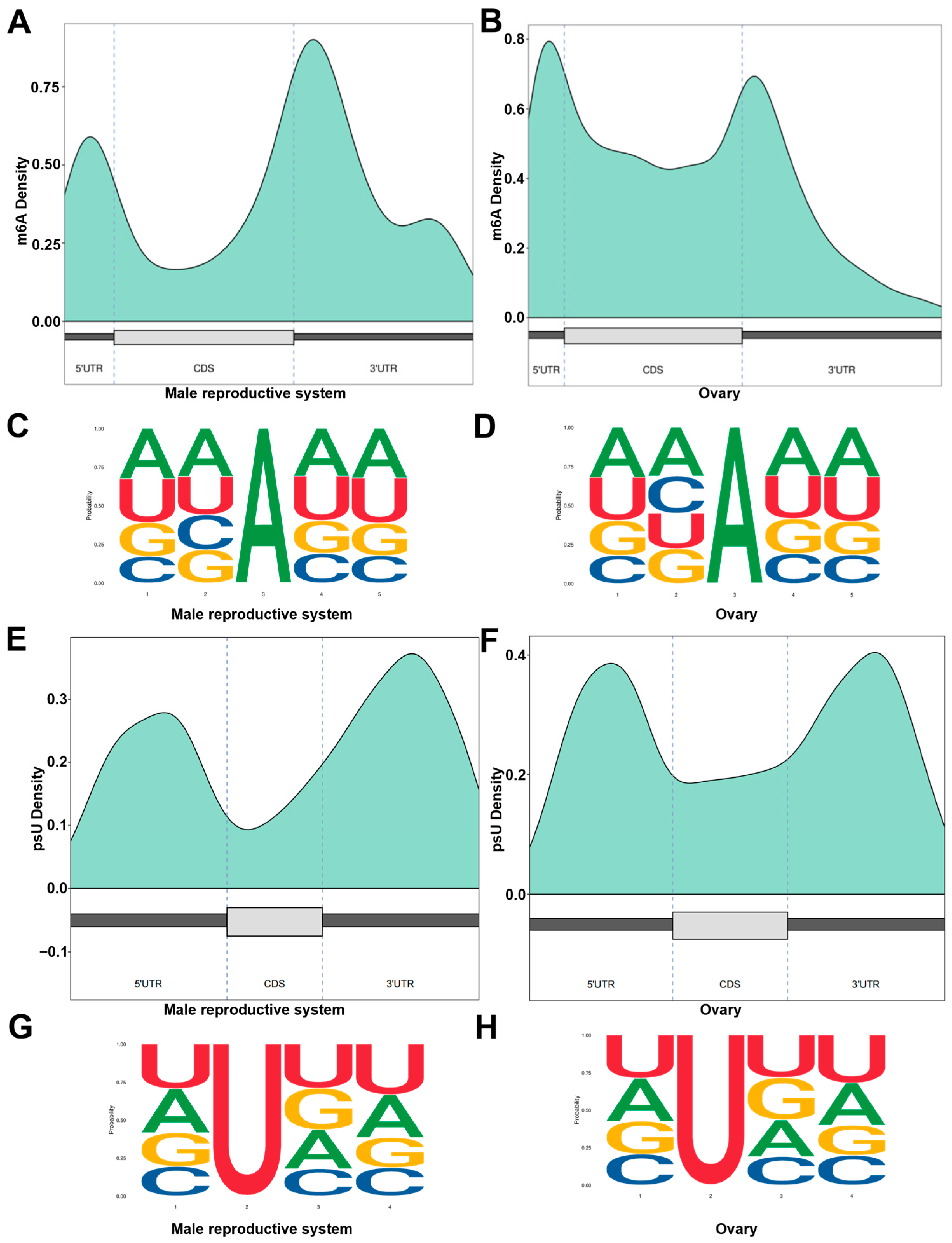 Biology 14 01757 g004 Biology 14 01757 g004