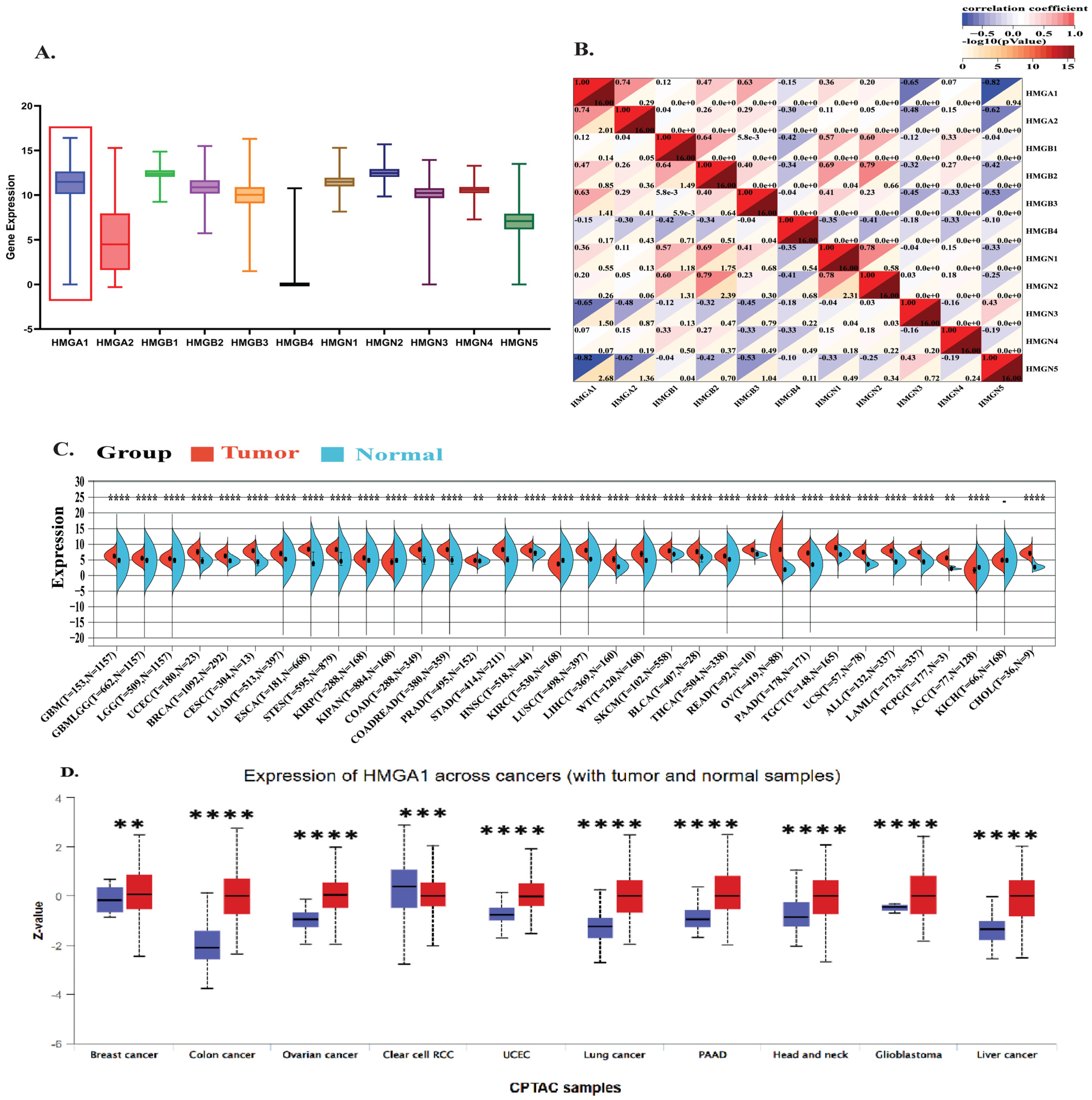 Biology 14 01758 g001 Biology 14 01758 g001