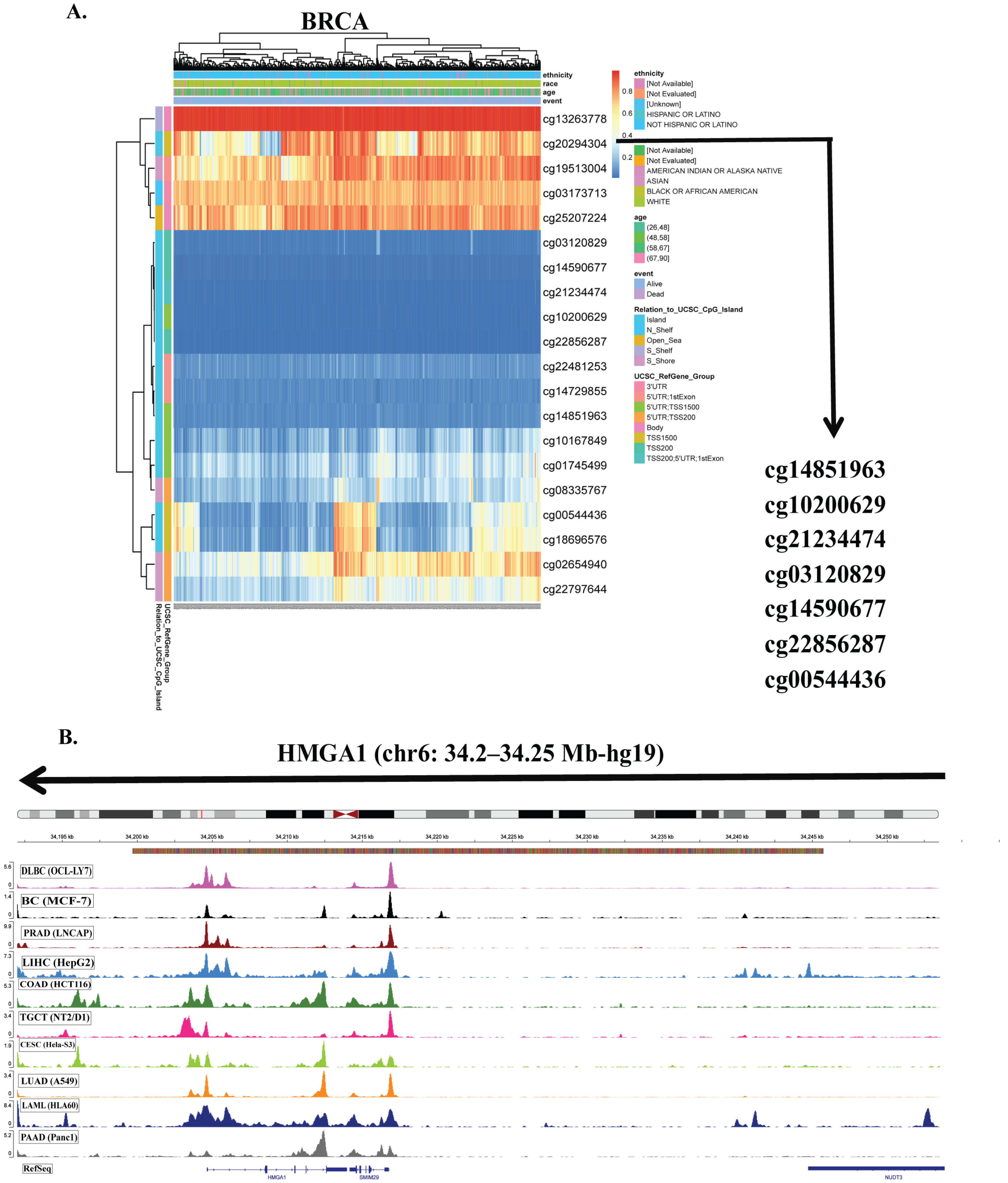 Biology 14 01758 g003 Biology 14 01758 g003