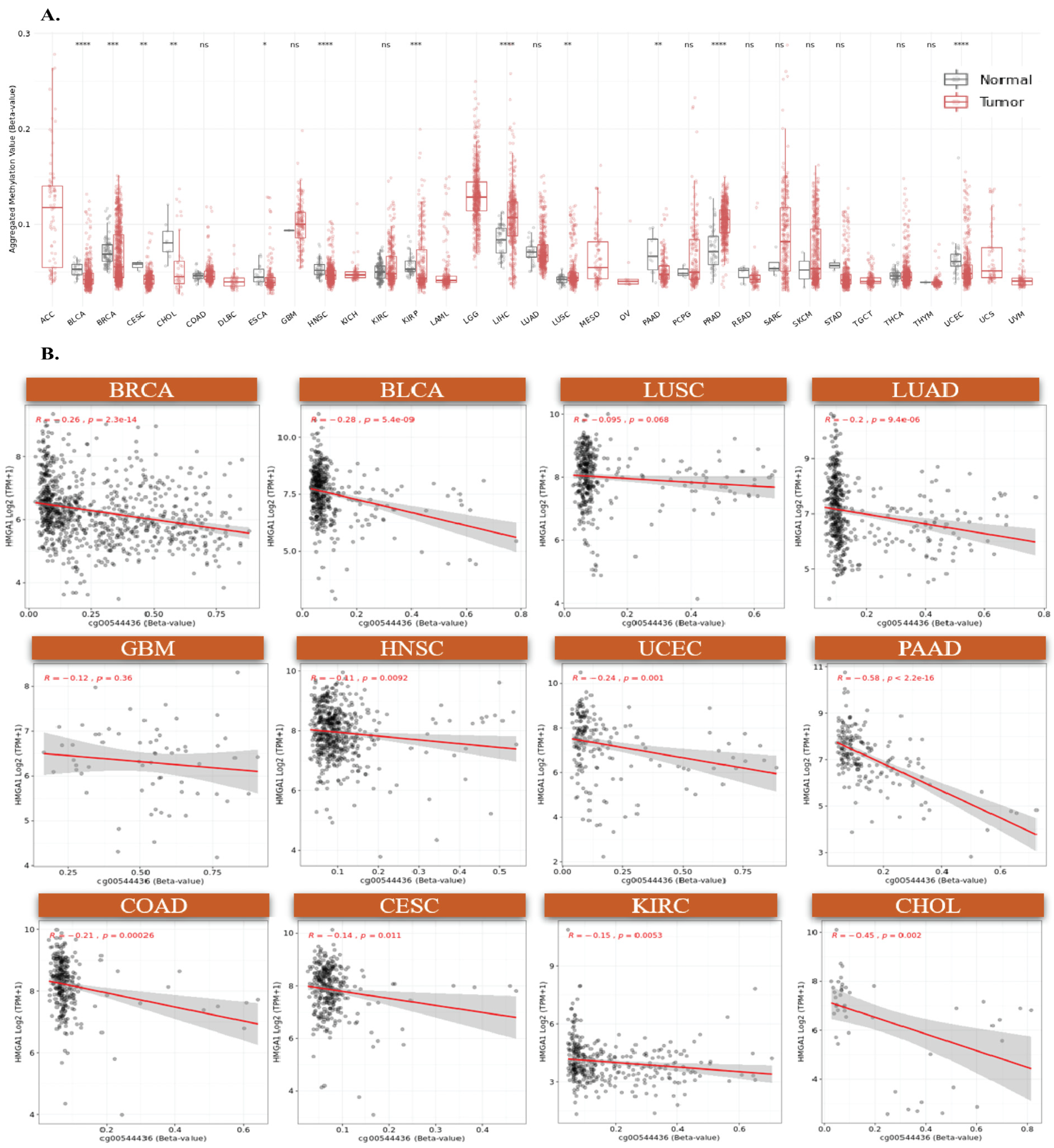 Biology 14 01758 g004 Biology 14 01758 g004