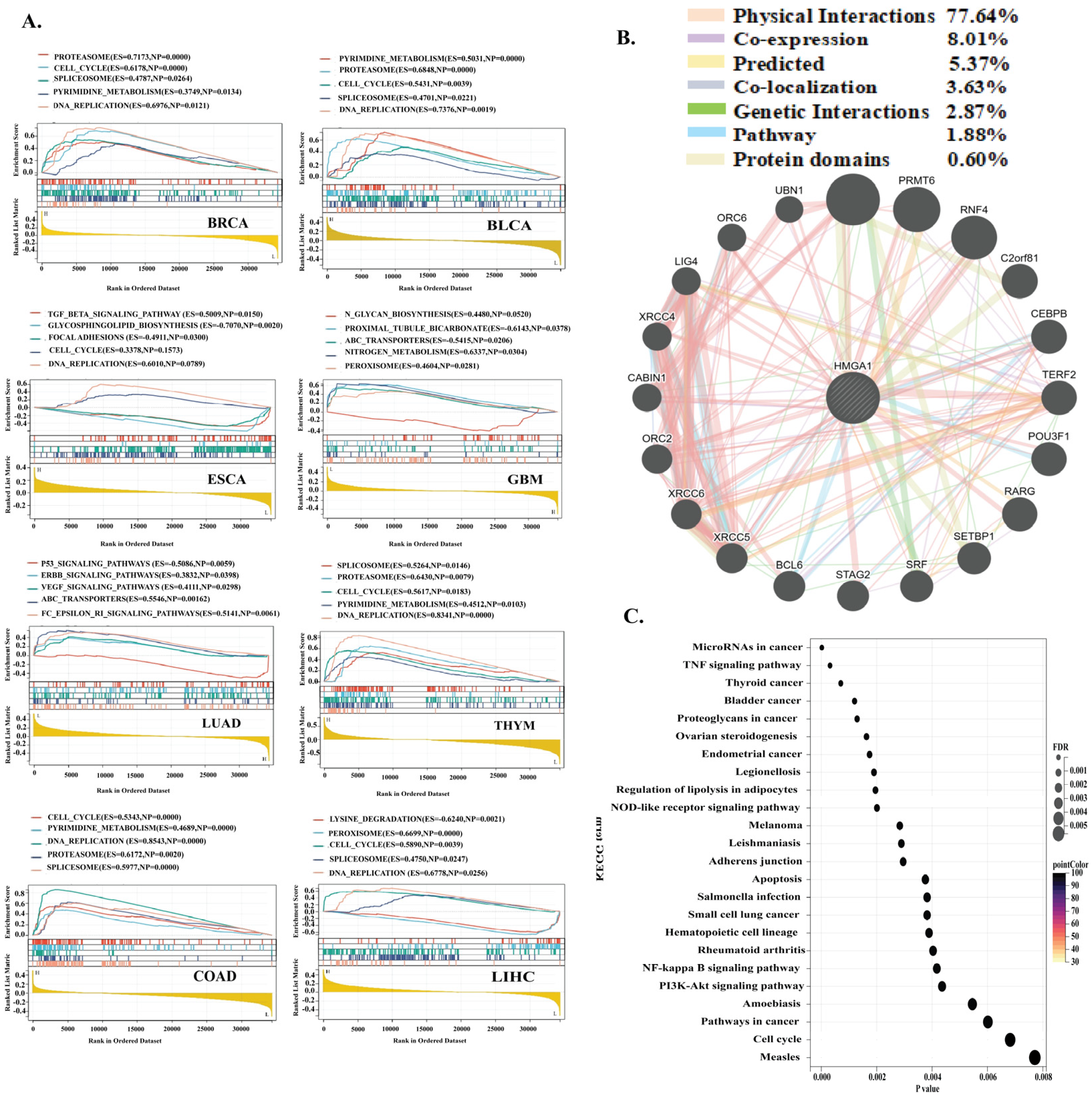 Biology 14 01758 g007 Biology 14 01758 g007