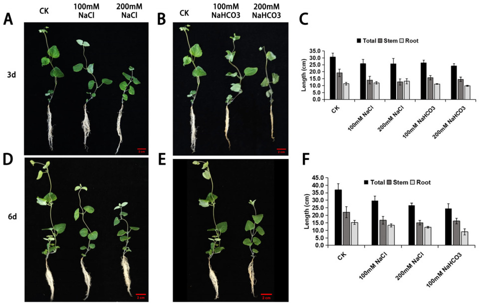 Biology 14 01759 g001 Biology 14 01759 g001