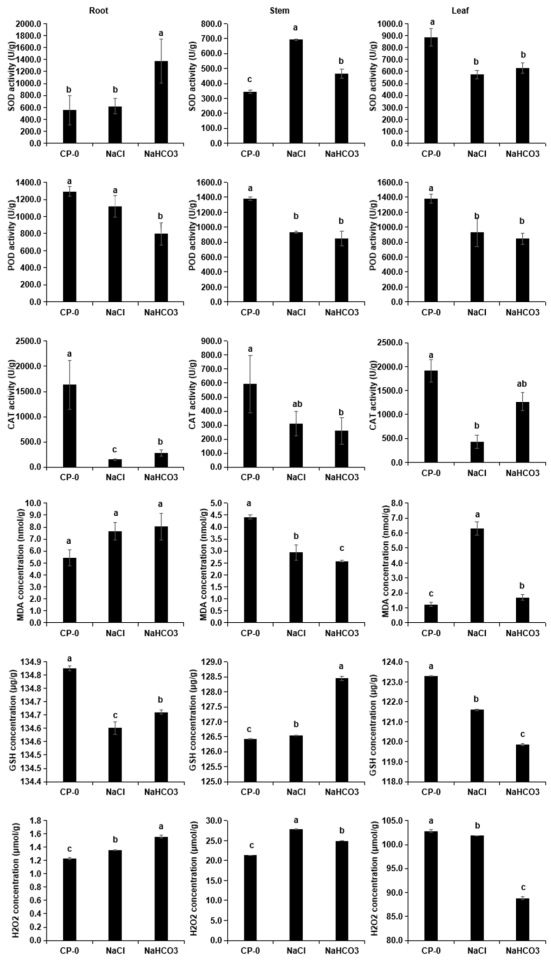 Biology 14 01759 g002 Biology 14 01759 g002