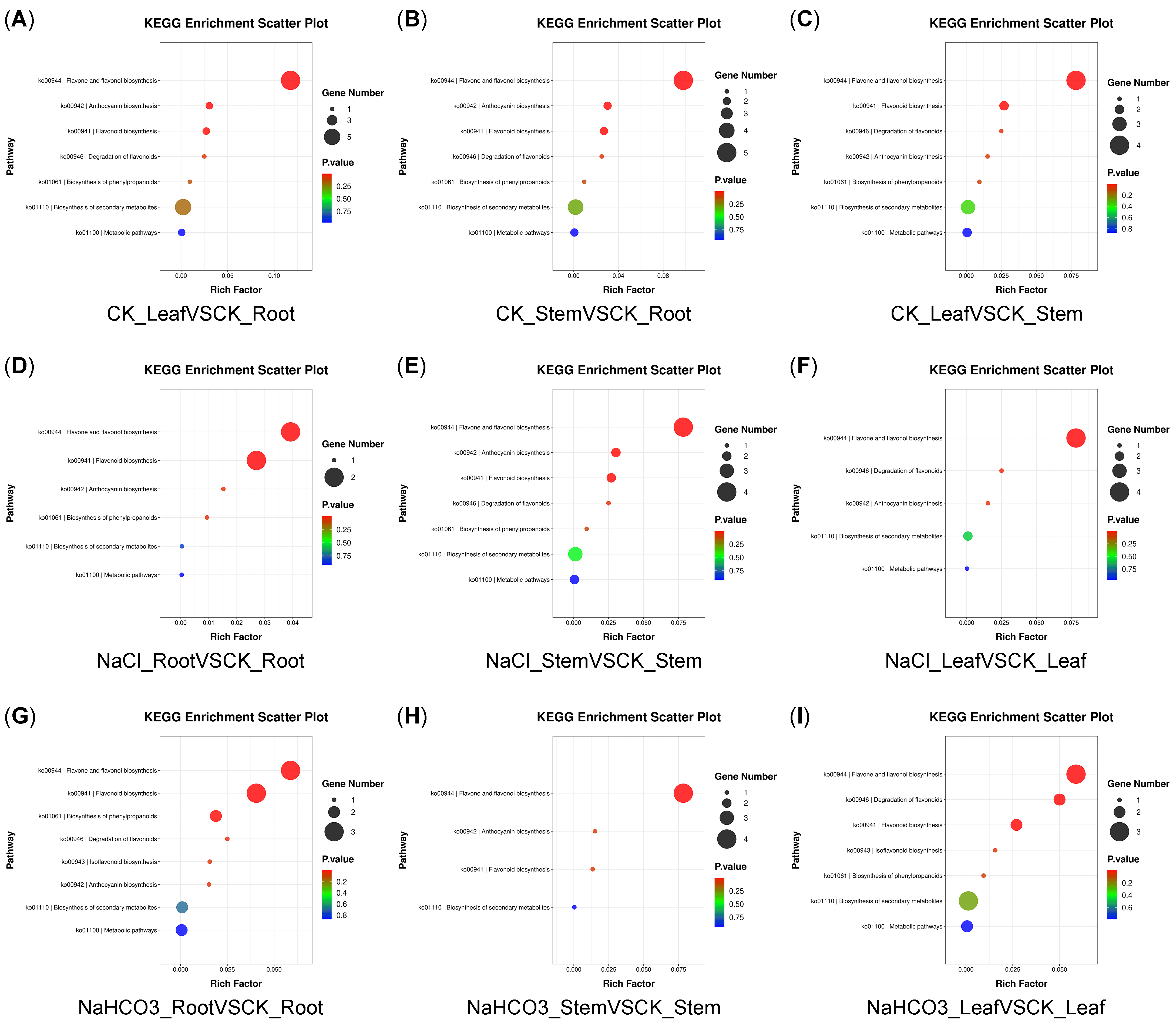 Biology 14 01759 g005 Biology 14 01759 g005