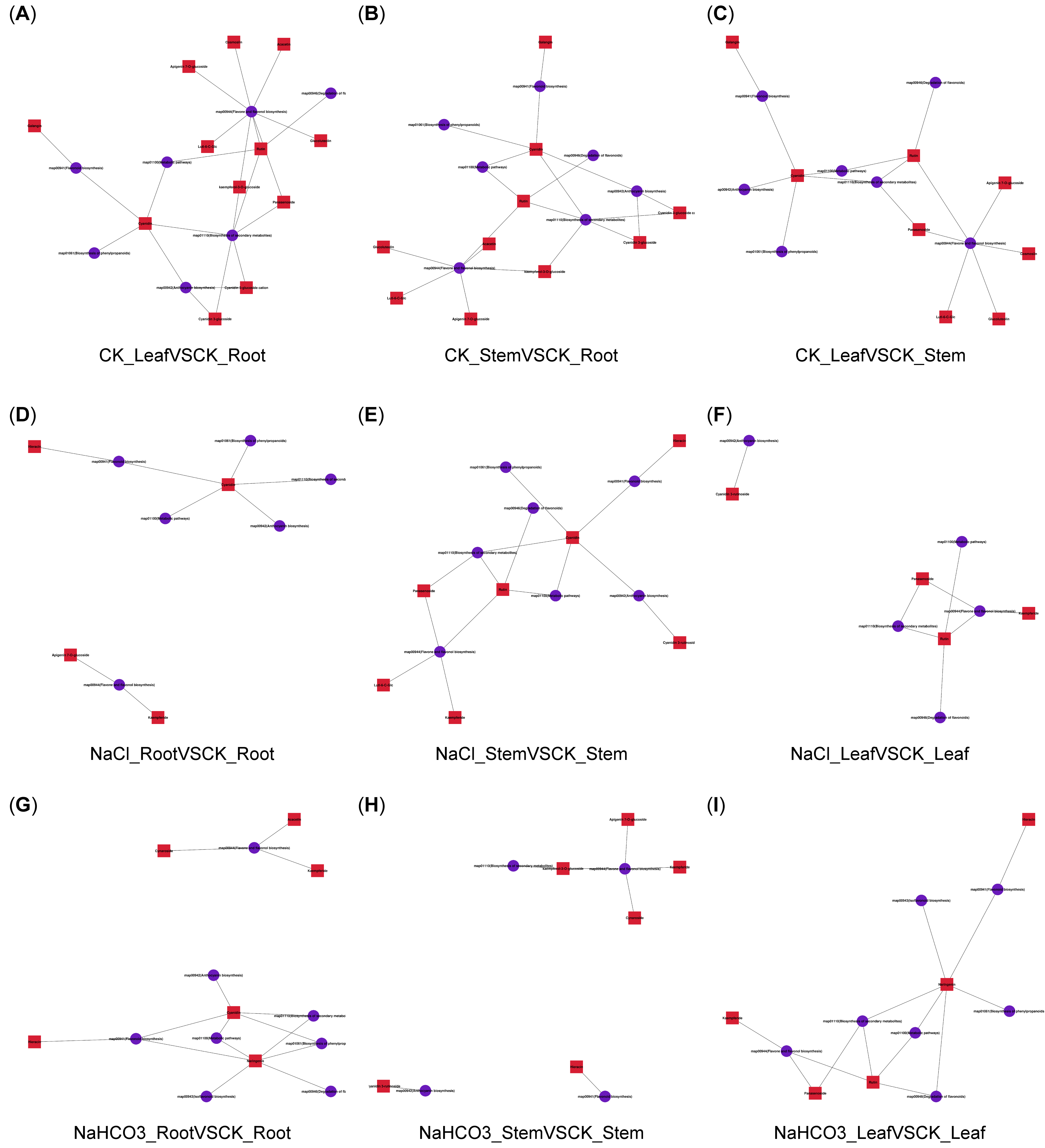 Biology 14 01759 g006 Biology 14 01759 g006