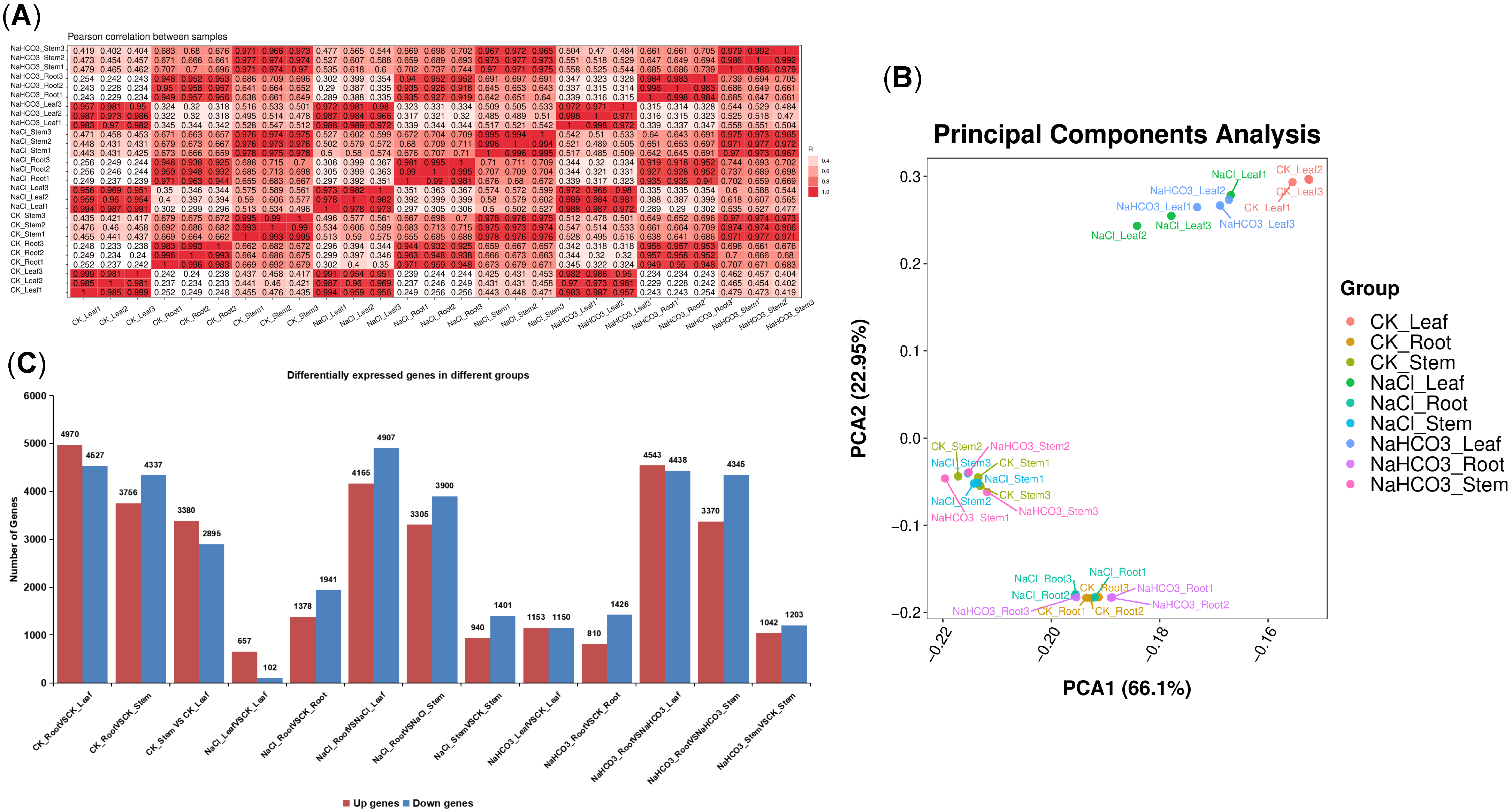 Biology 14 01759 g007 Biology 14 01759 g007