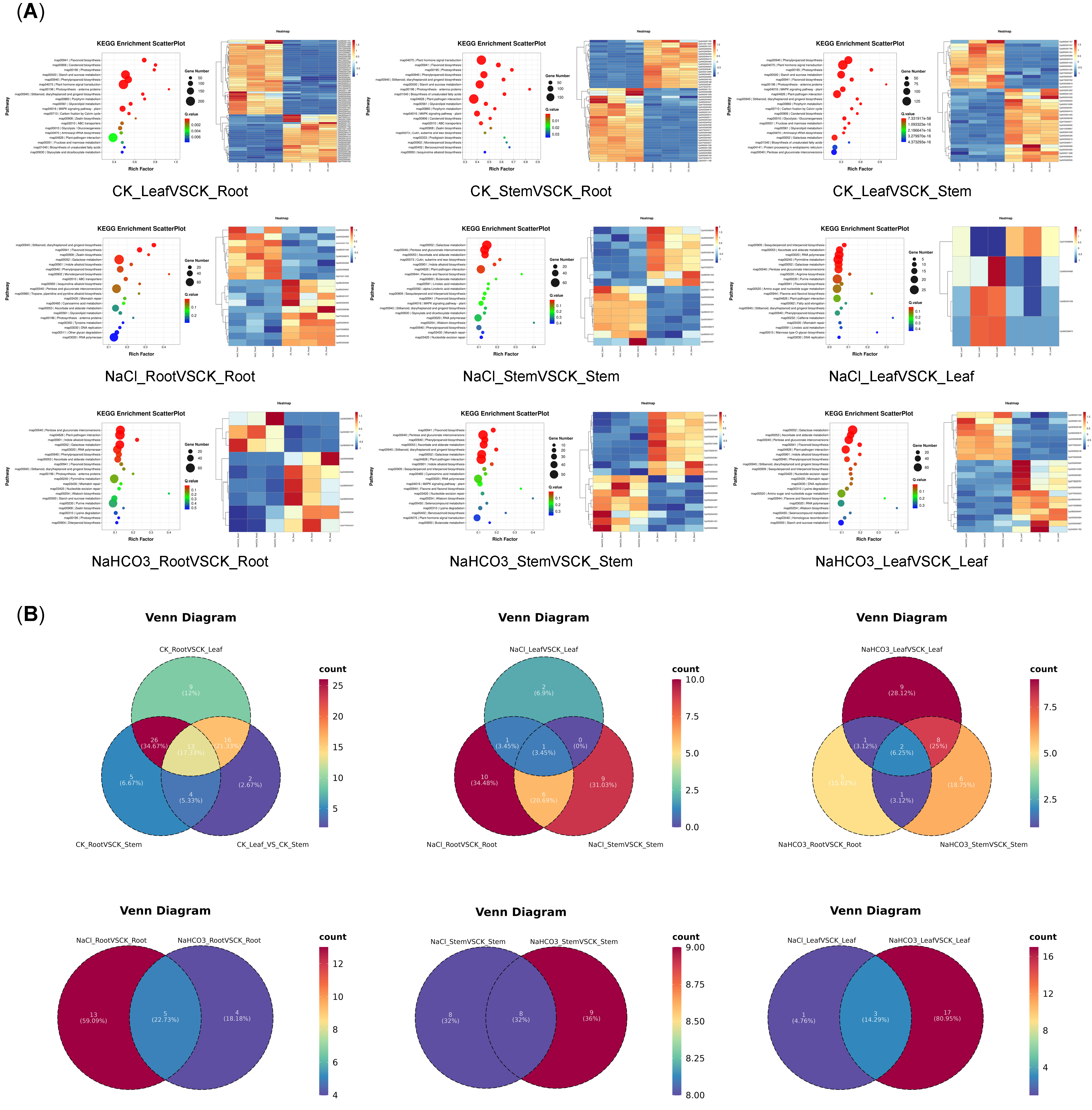 Biology 14 01759 g008 Biology 14 01759 g008