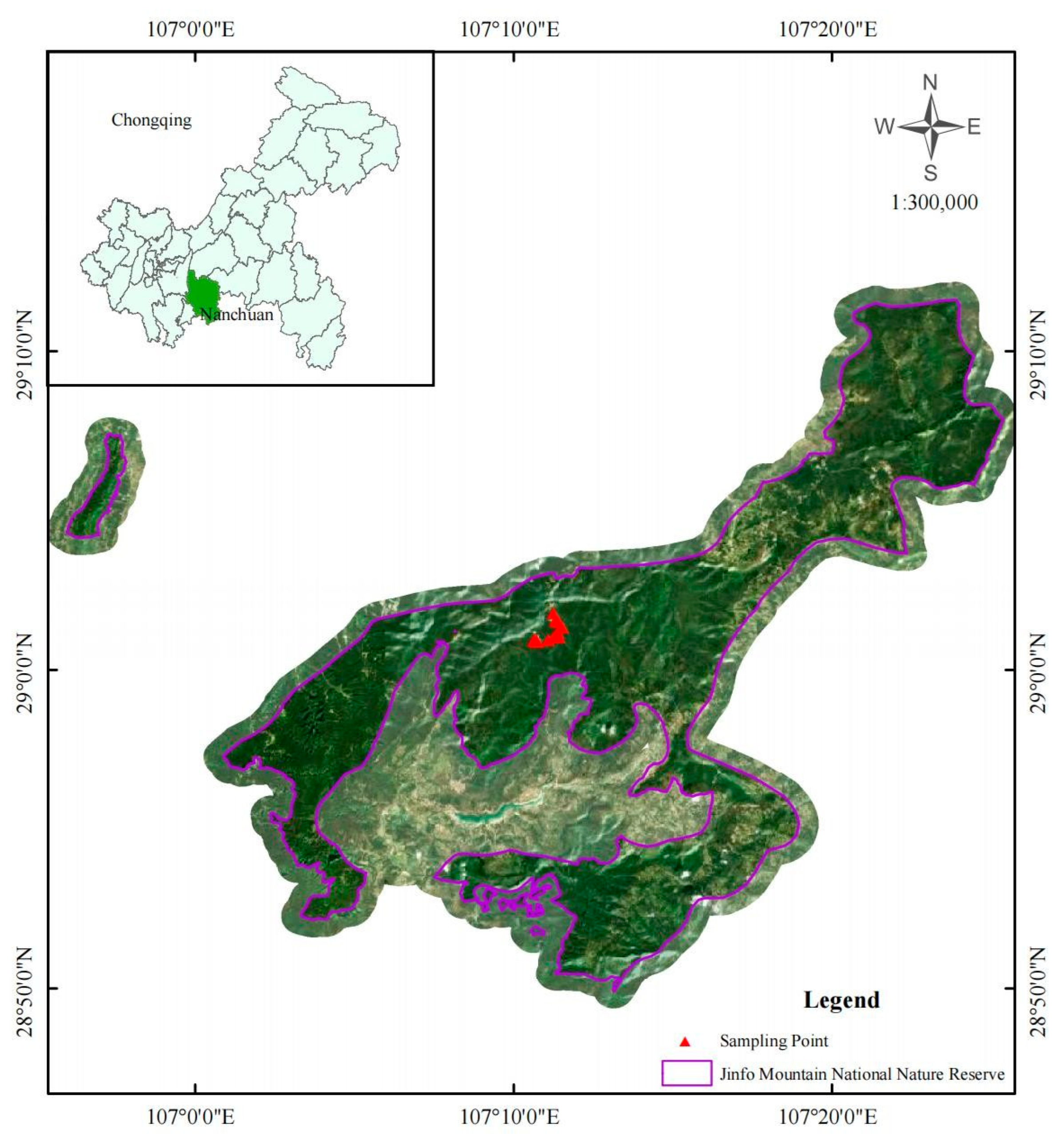 Biology 14 01761 g001