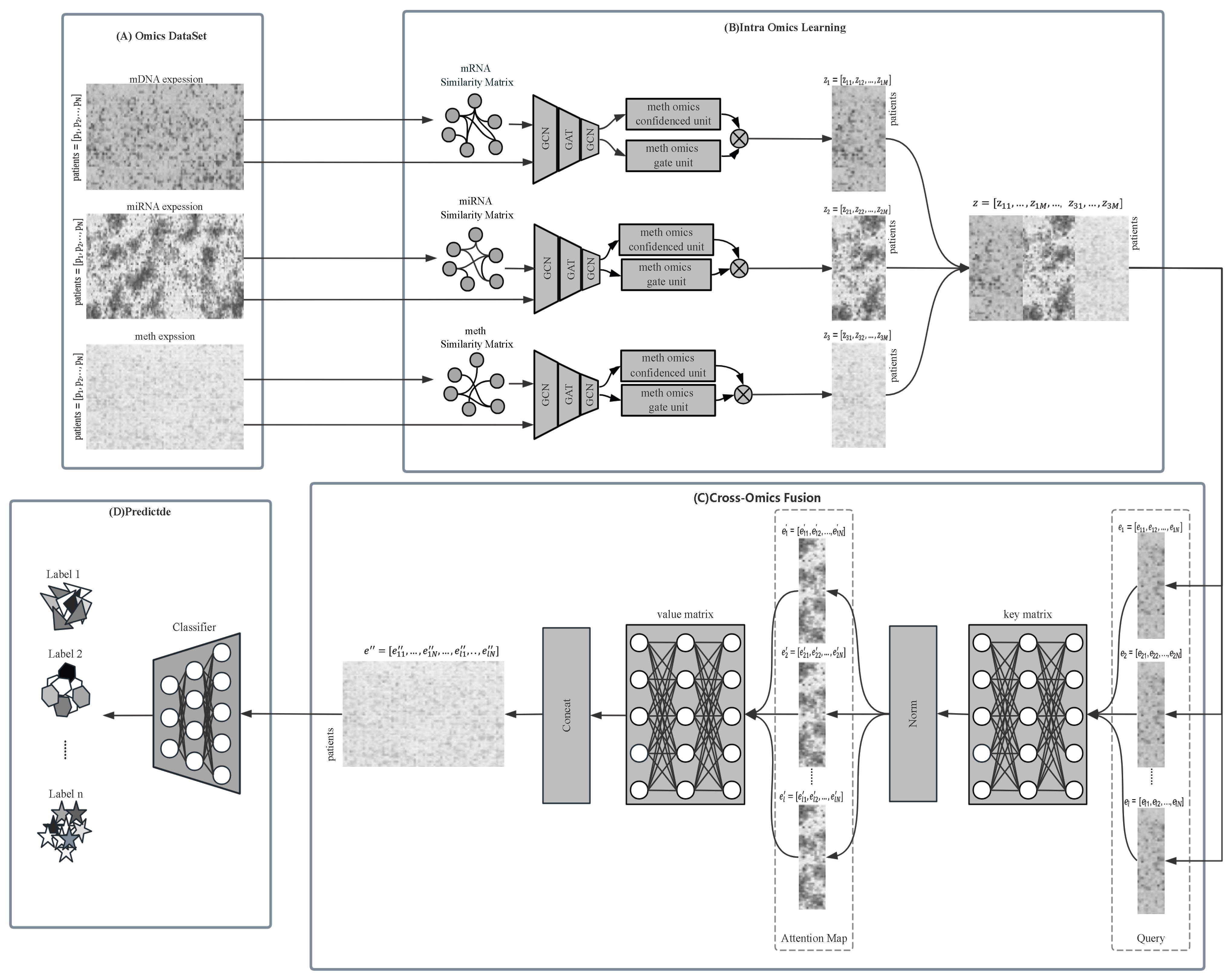 Biology 14 01764 g001