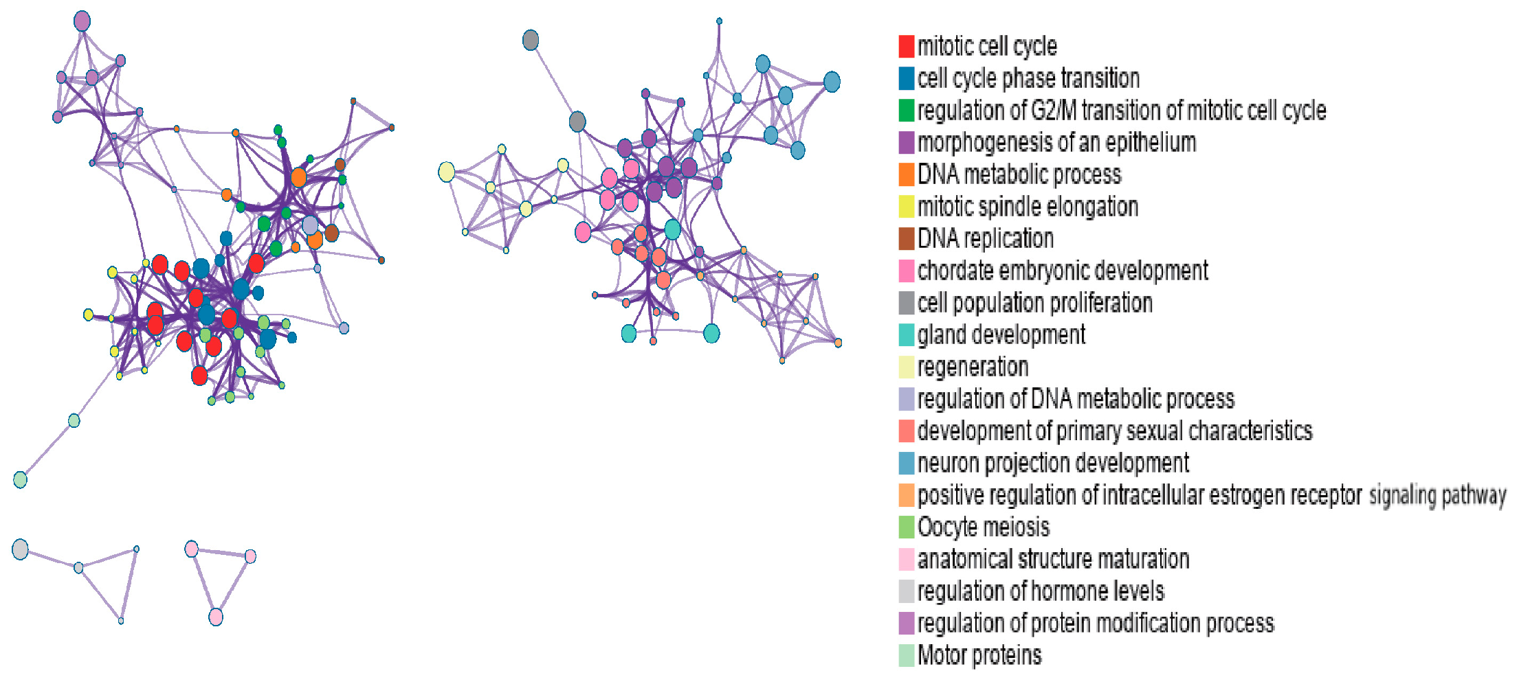 Biology 14 01764 g005