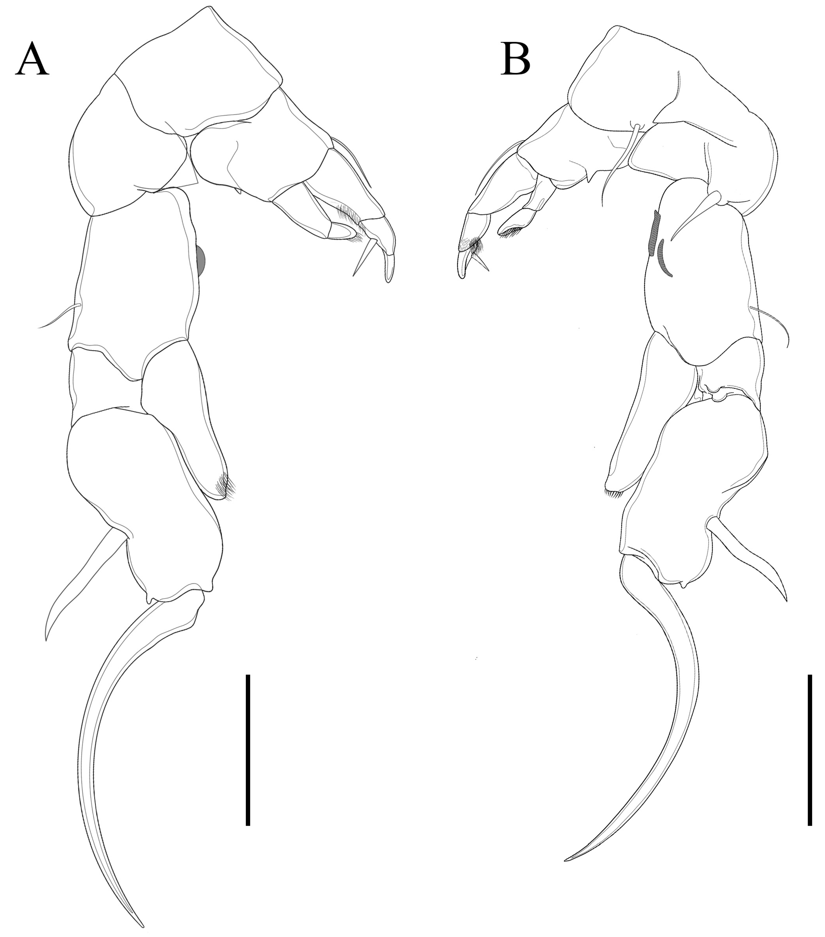 Biology 14 01766 g011