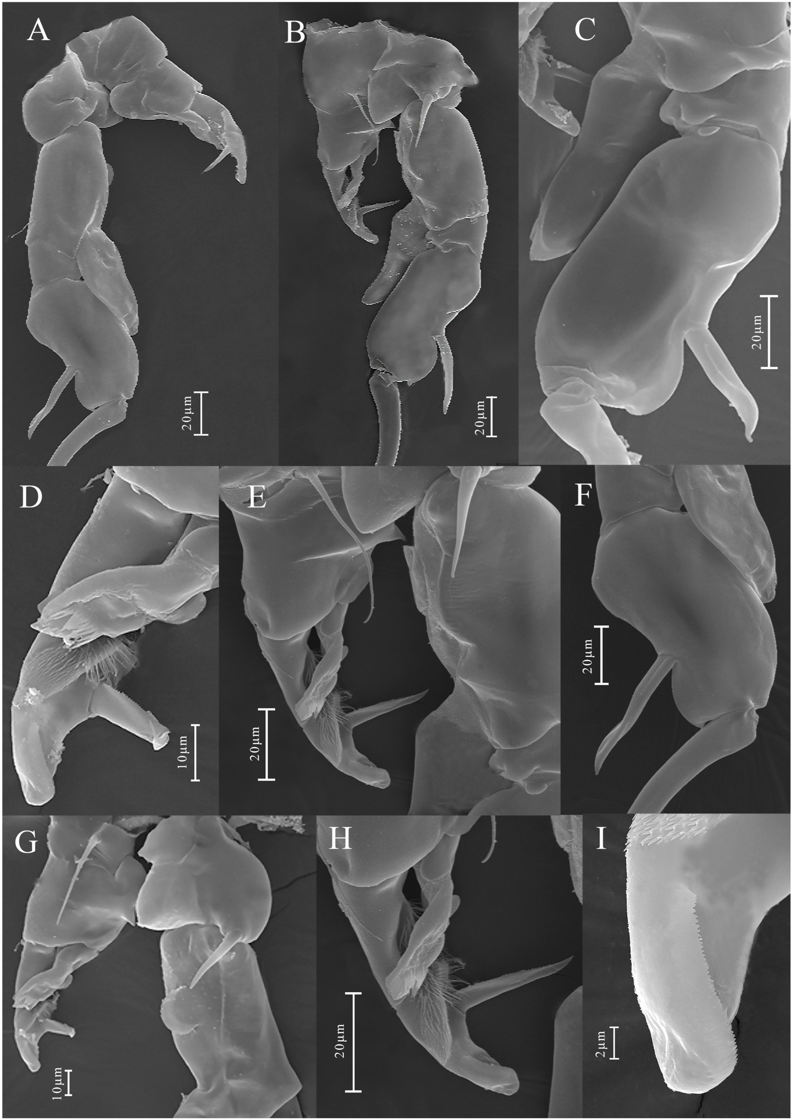 Biology 14 01766 g012