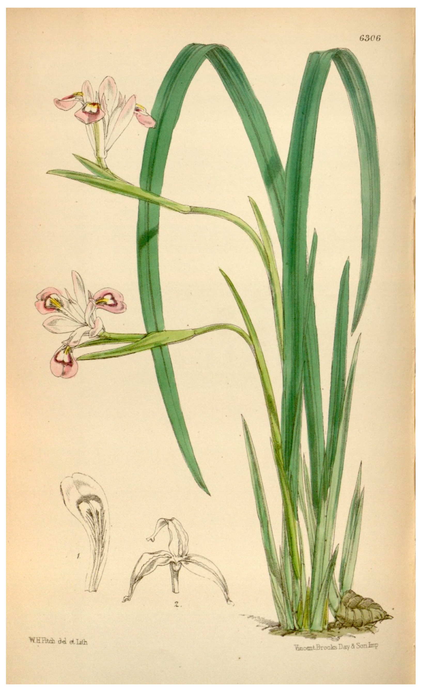 Biology 14 01767 g001