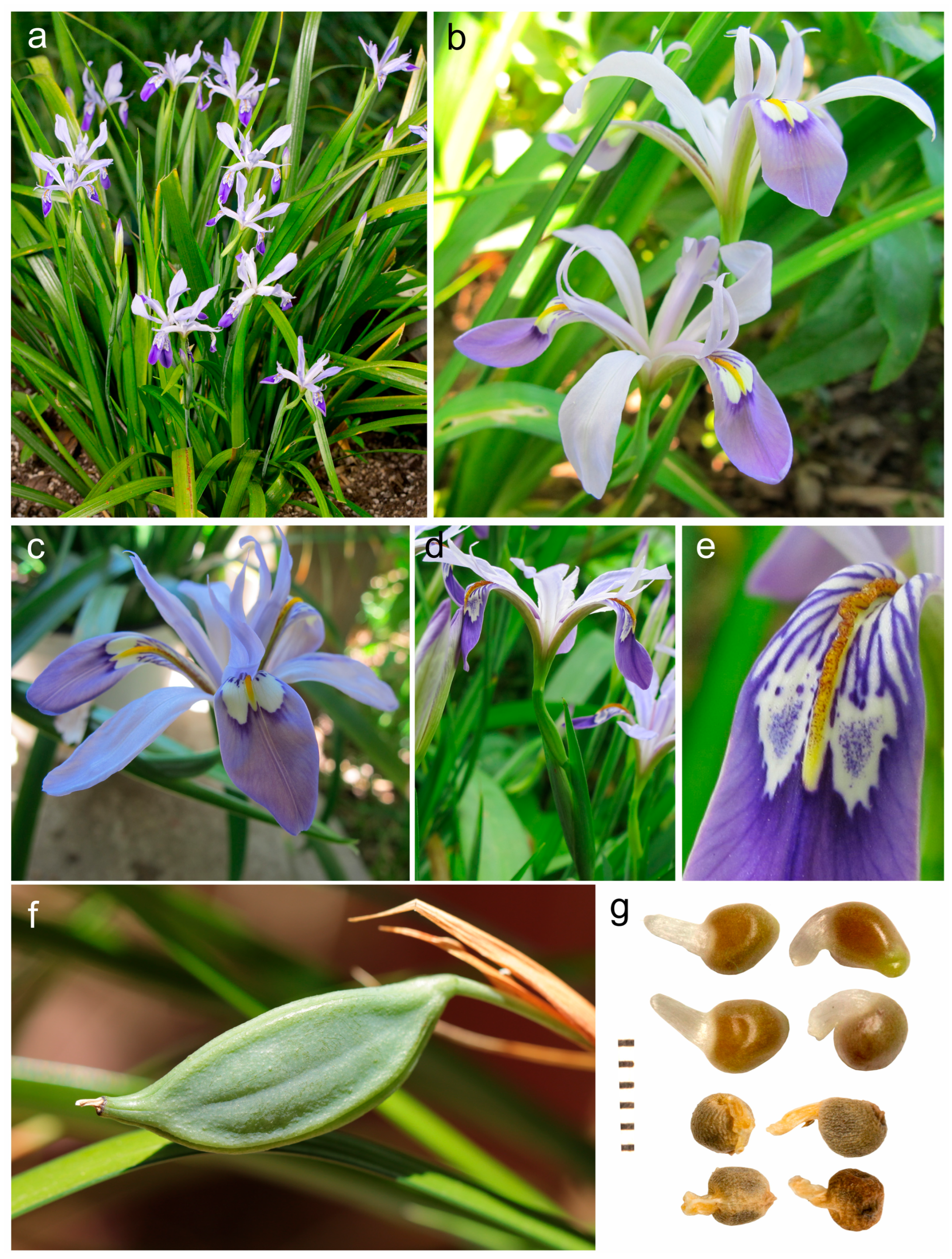 Biology 14 01767 g002