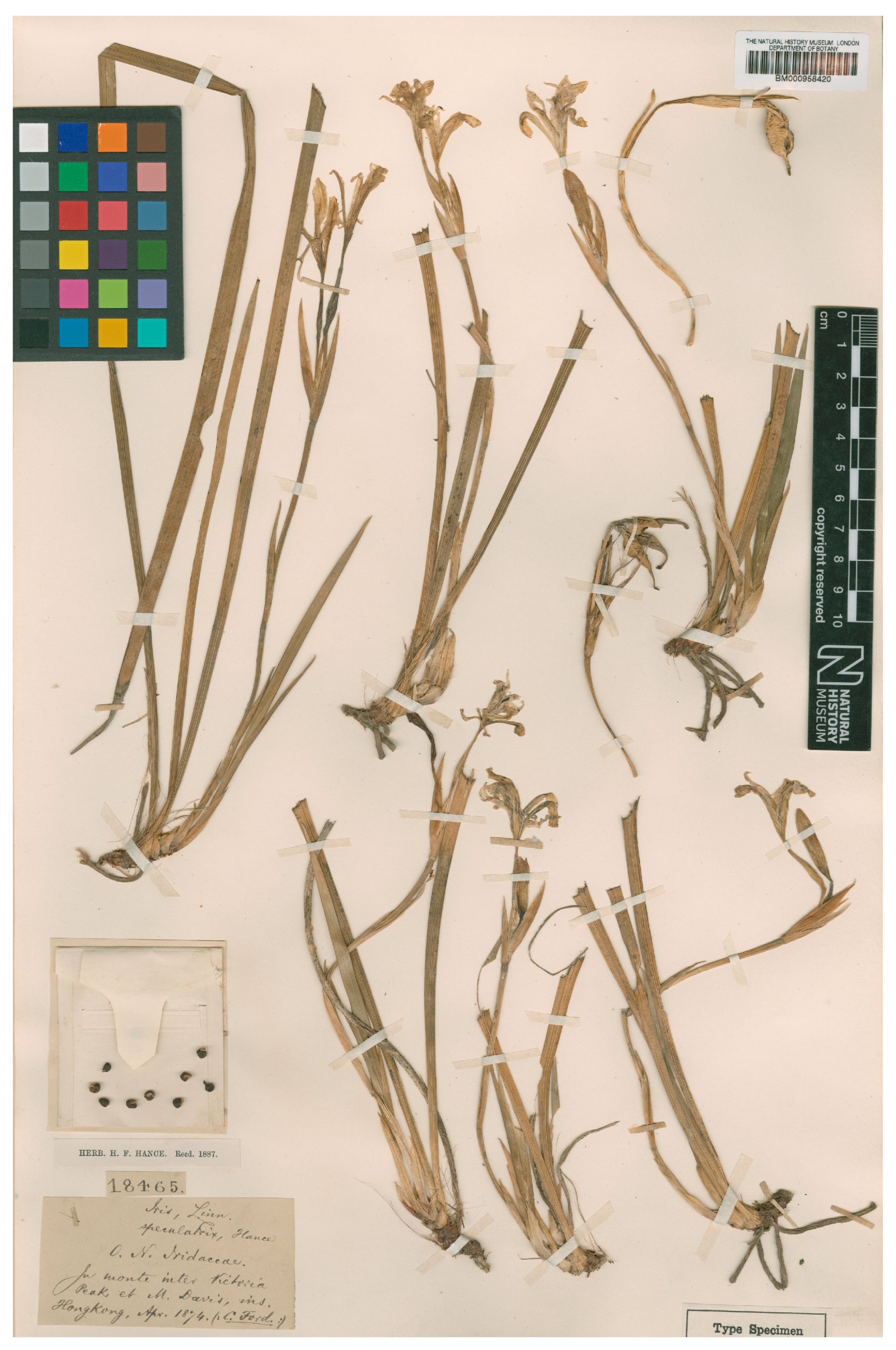 Biology 14 01767 g003