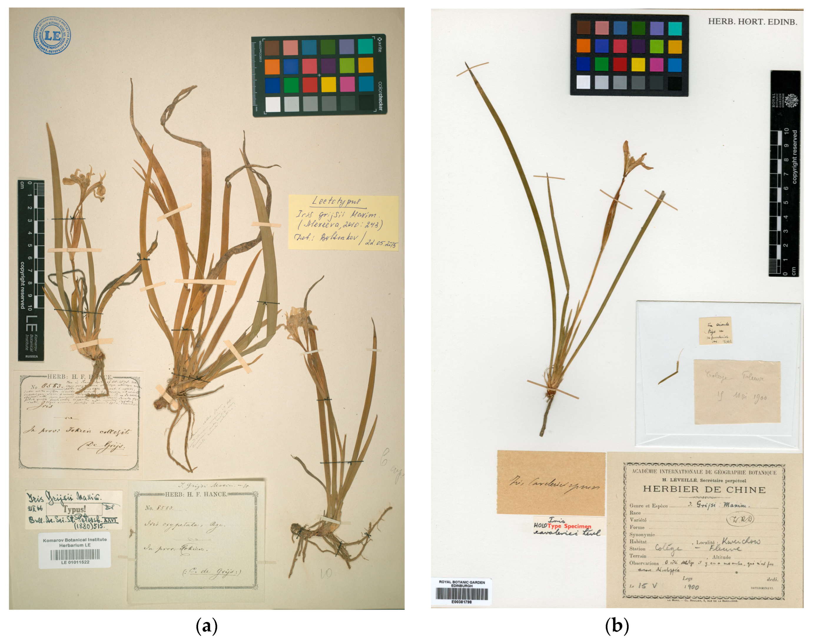 Biology 14 01767 g008