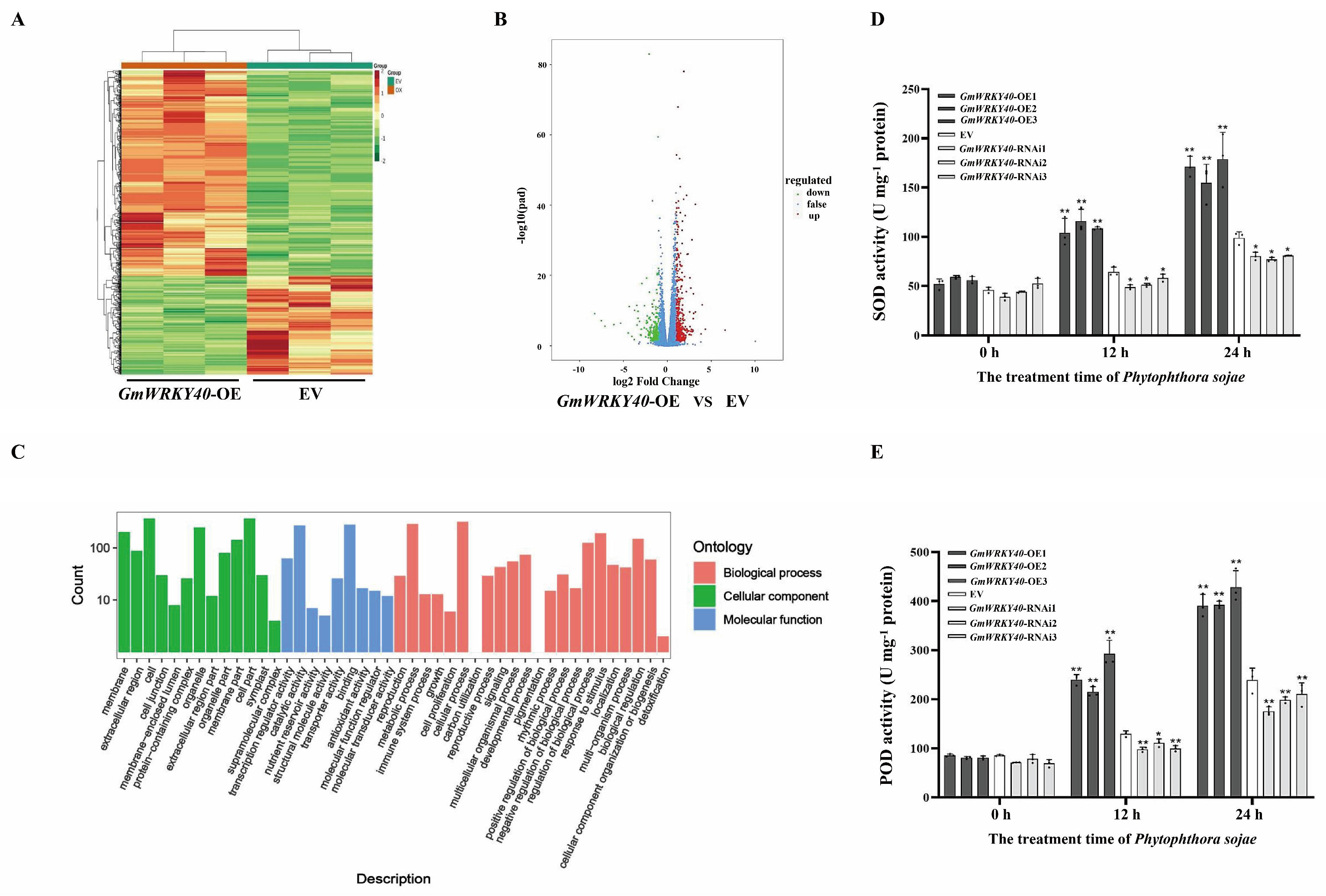 Biology 14 01769 g002
