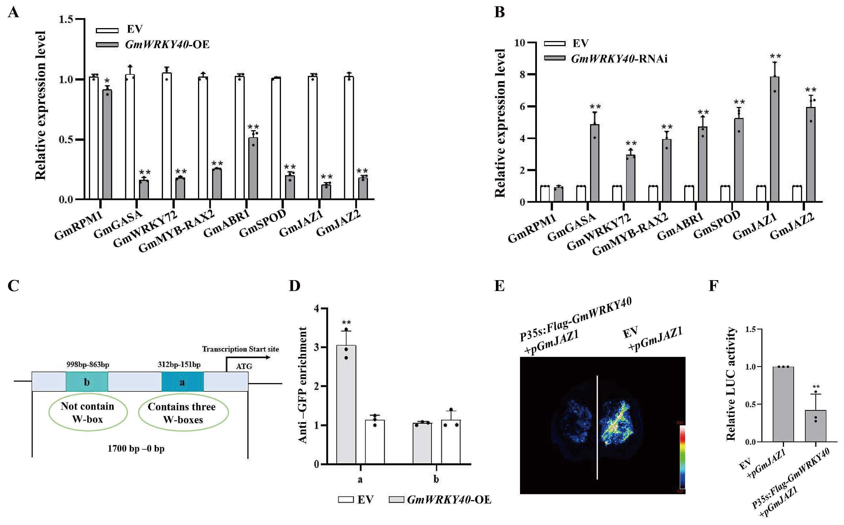 Biology 14 01769 g004