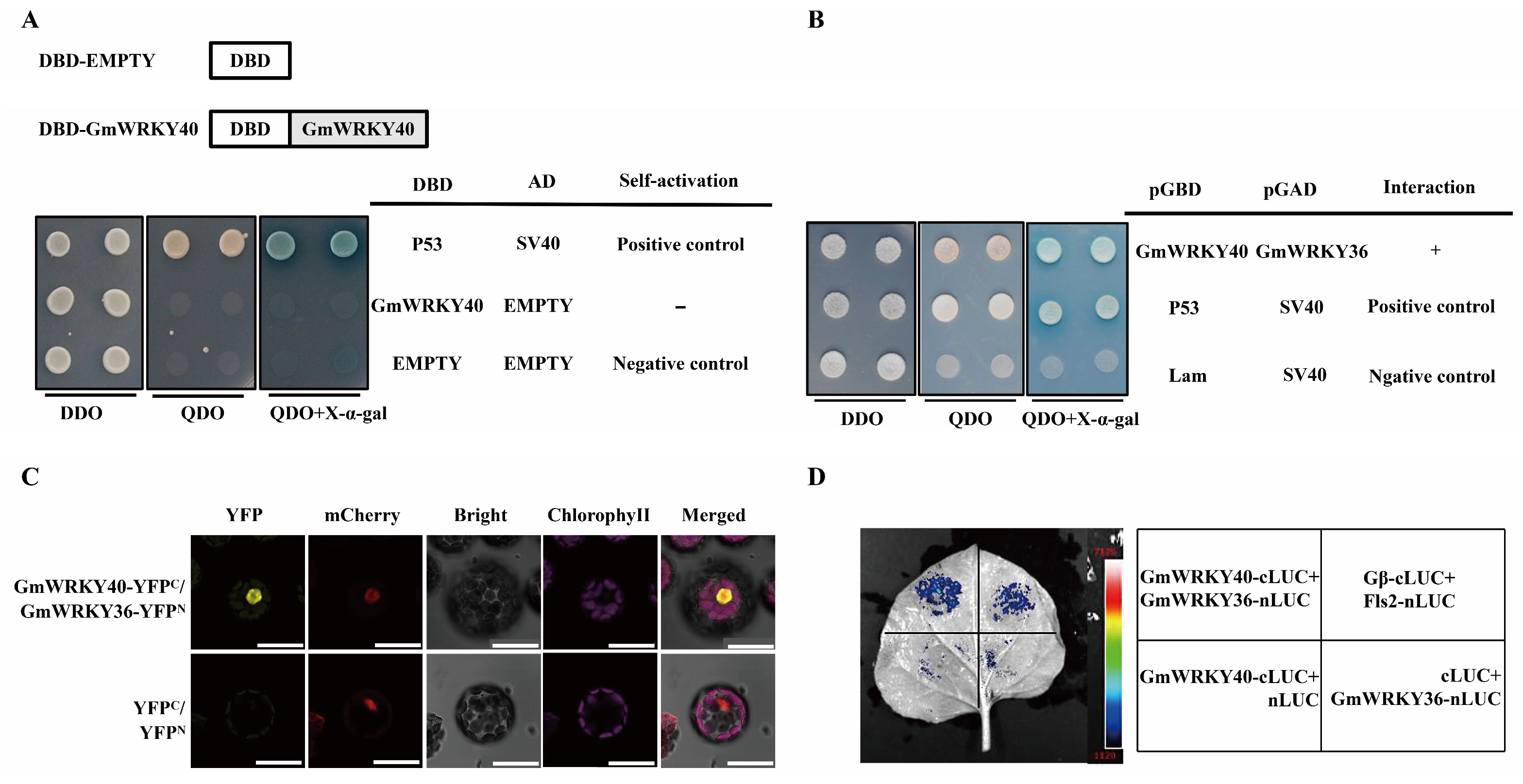 Biology 14 01769 g005