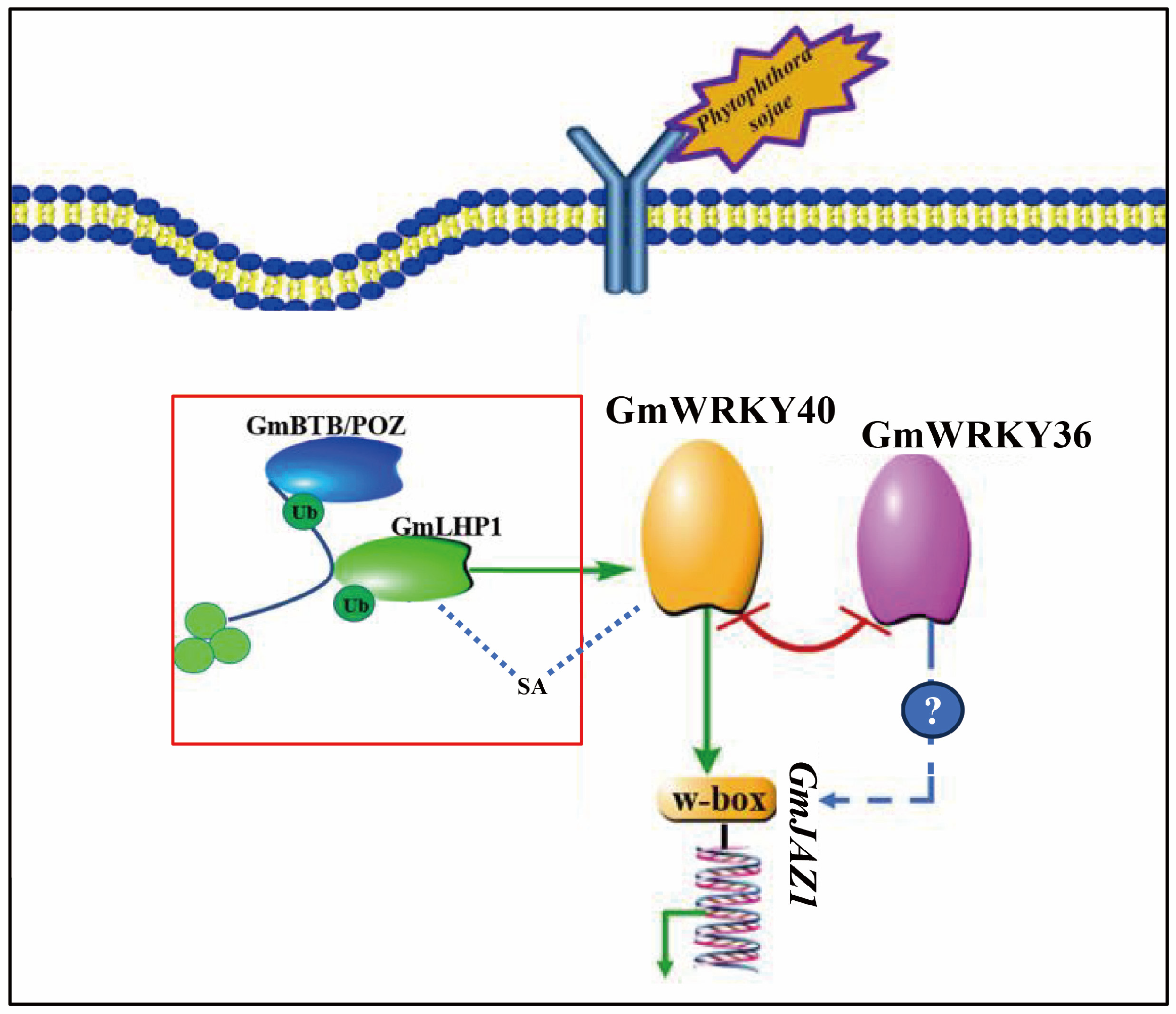 Biology 14 01769 g007