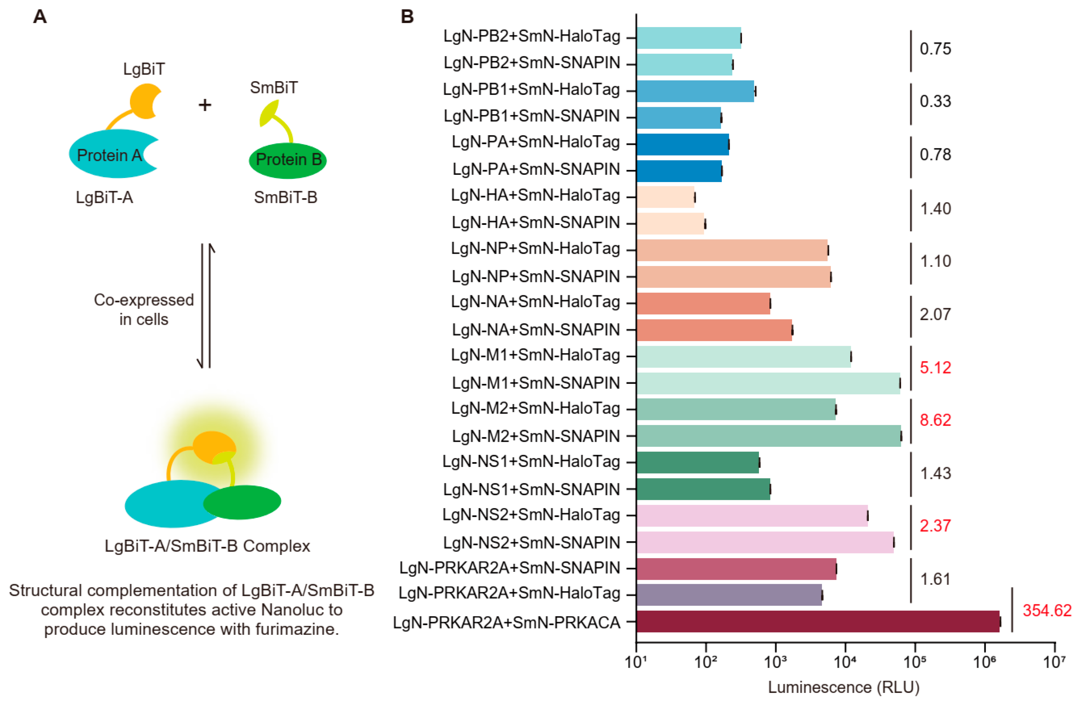 Biology 14 01770 g001