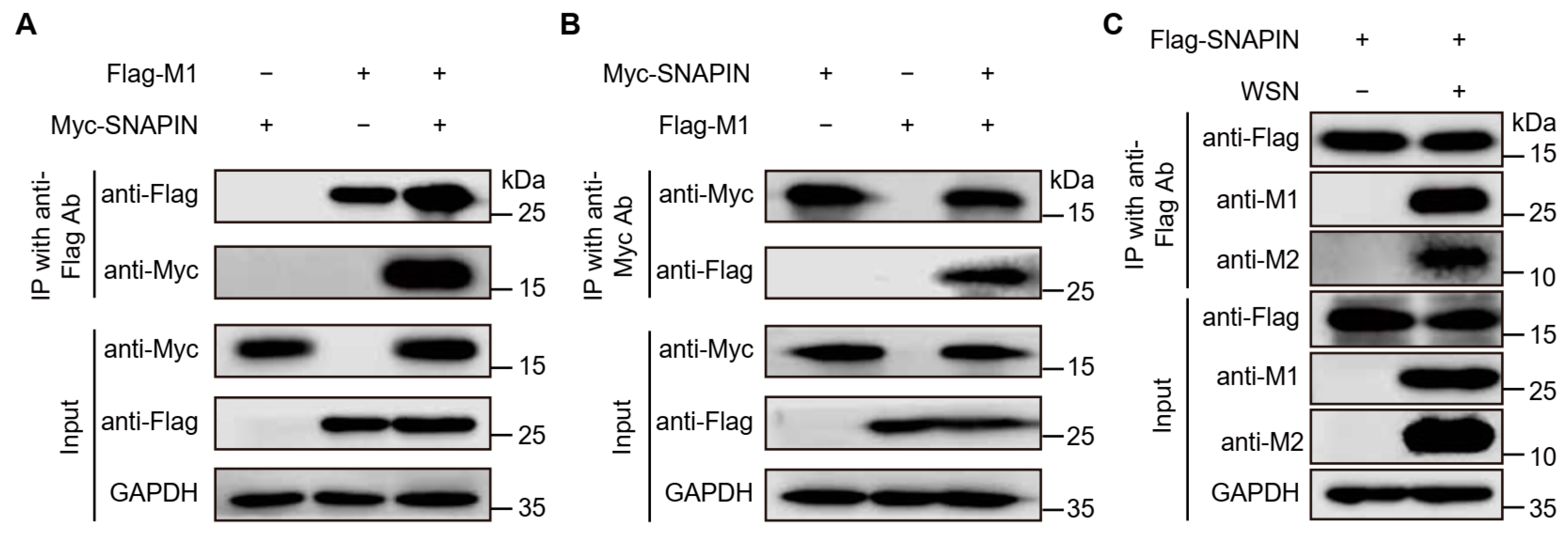 Biology 14 01770 g002