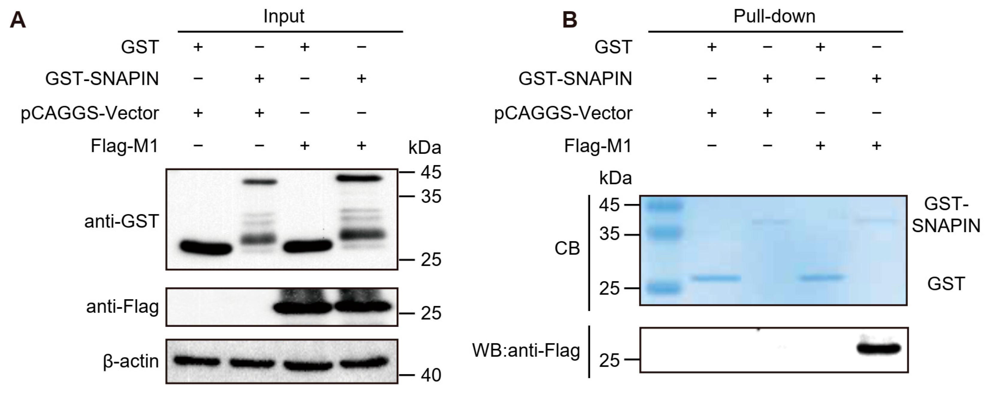 Biology 14 01770 g003