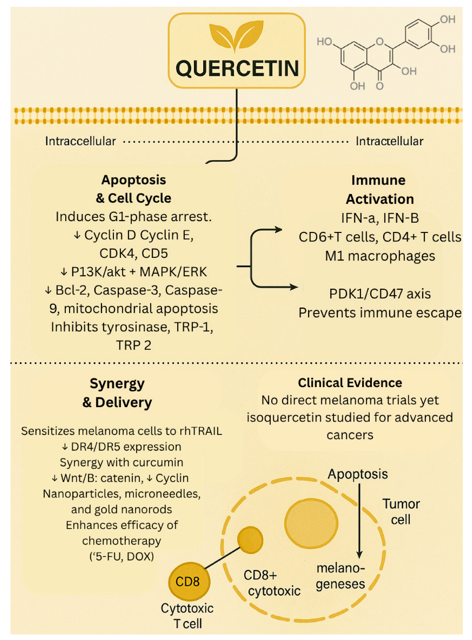 Biology 14 01772 g001