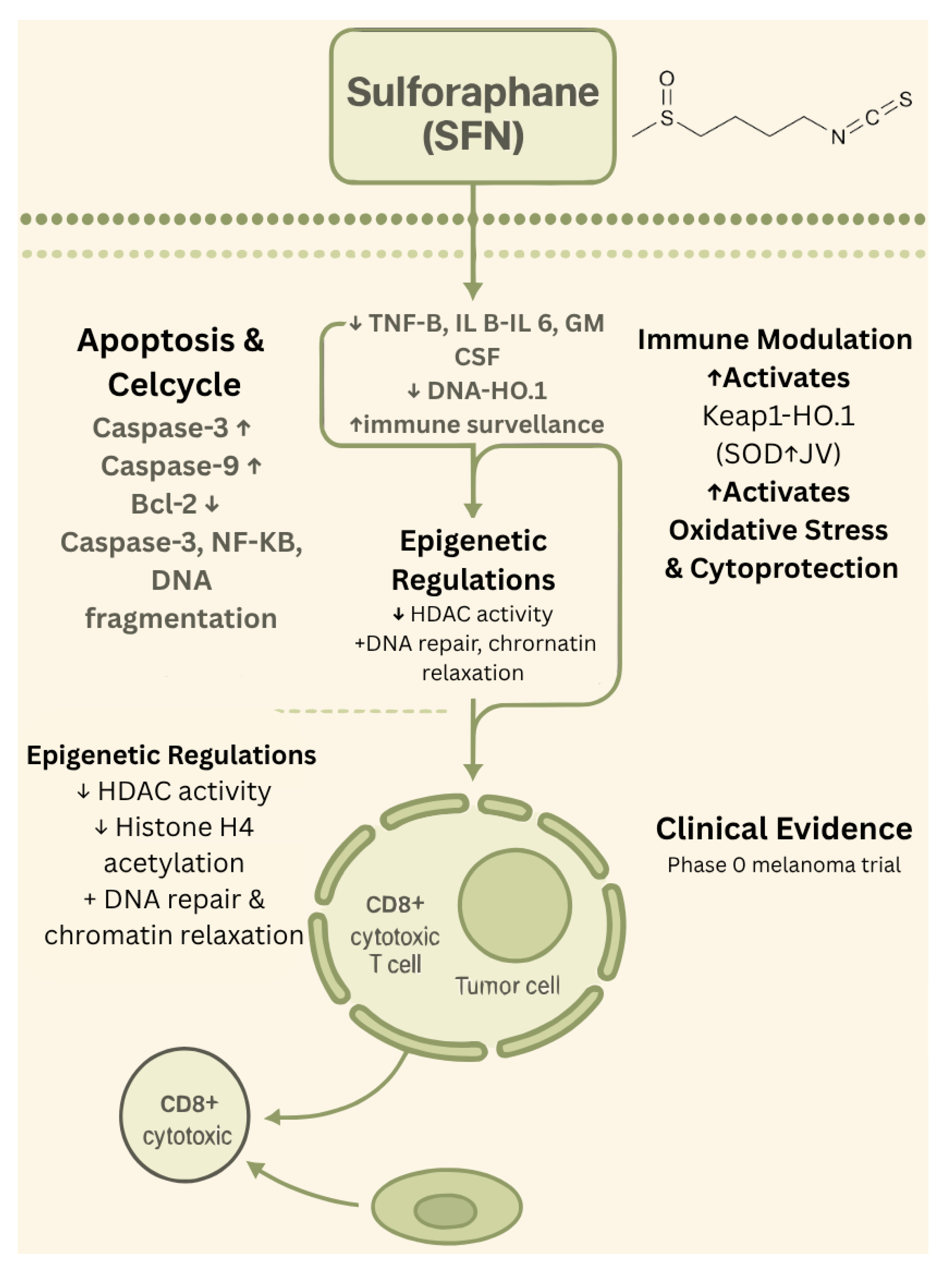 Biology 14 01772 g002