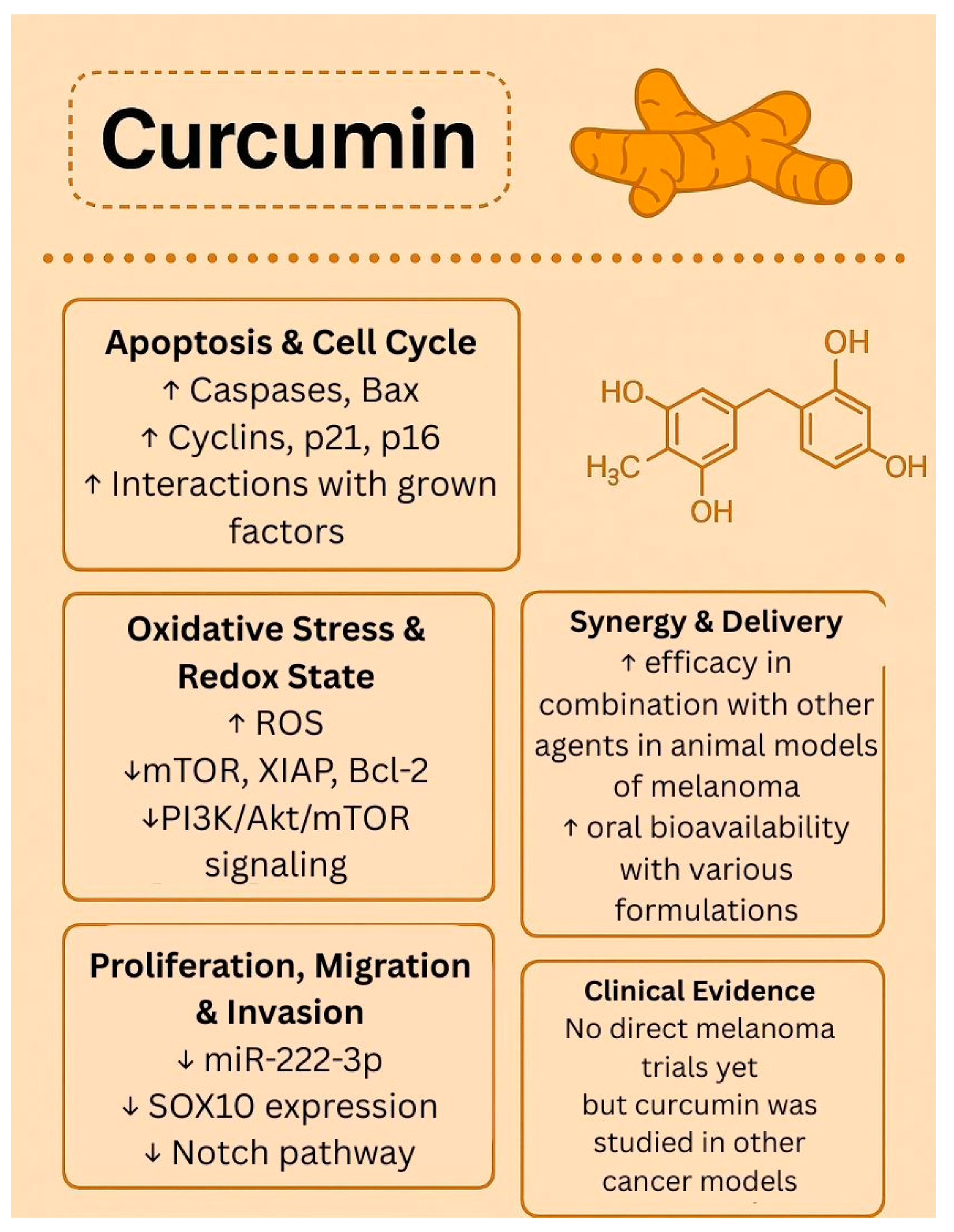 Biology 14 01772 g003