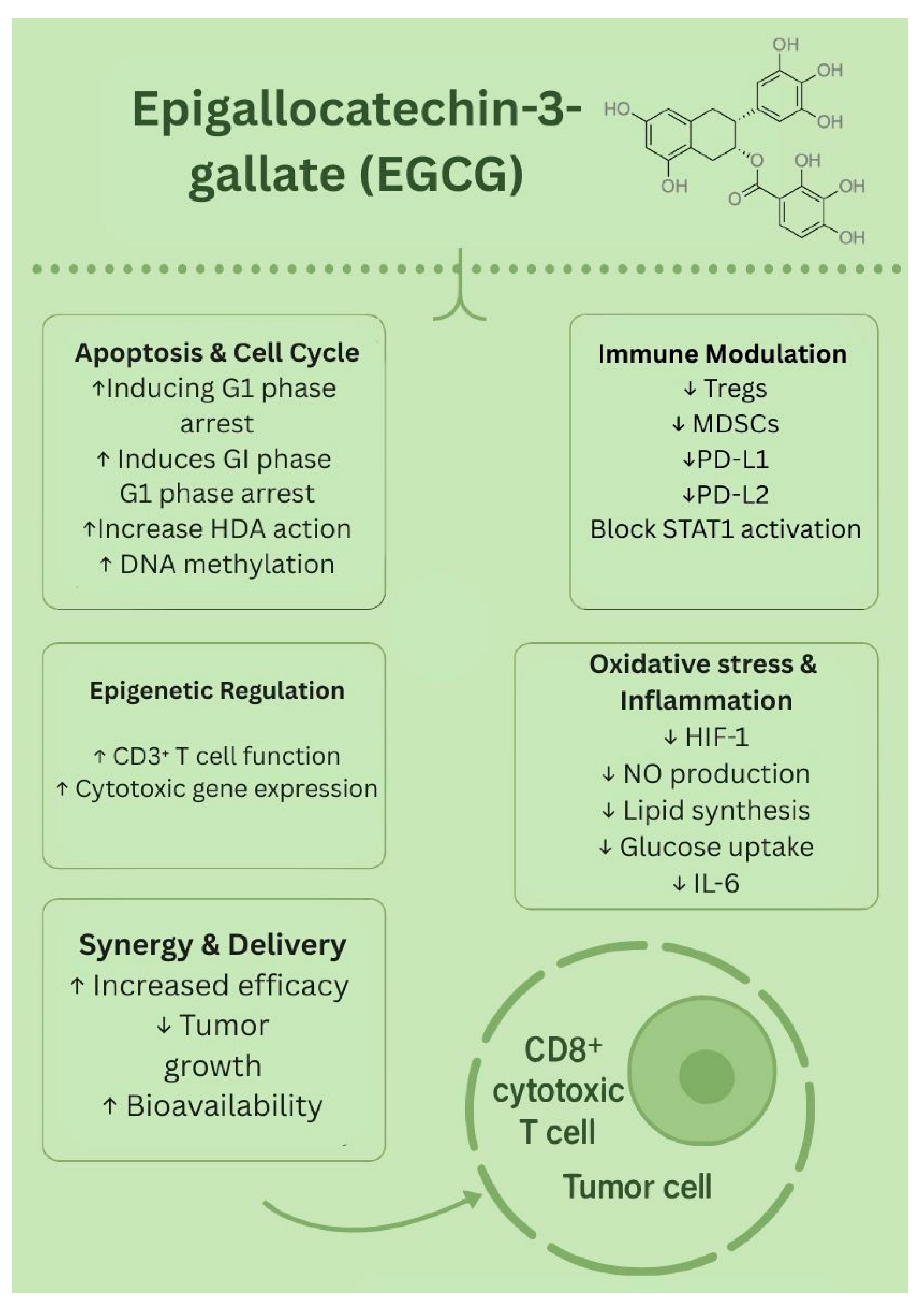 Biology 14 01772 g004
