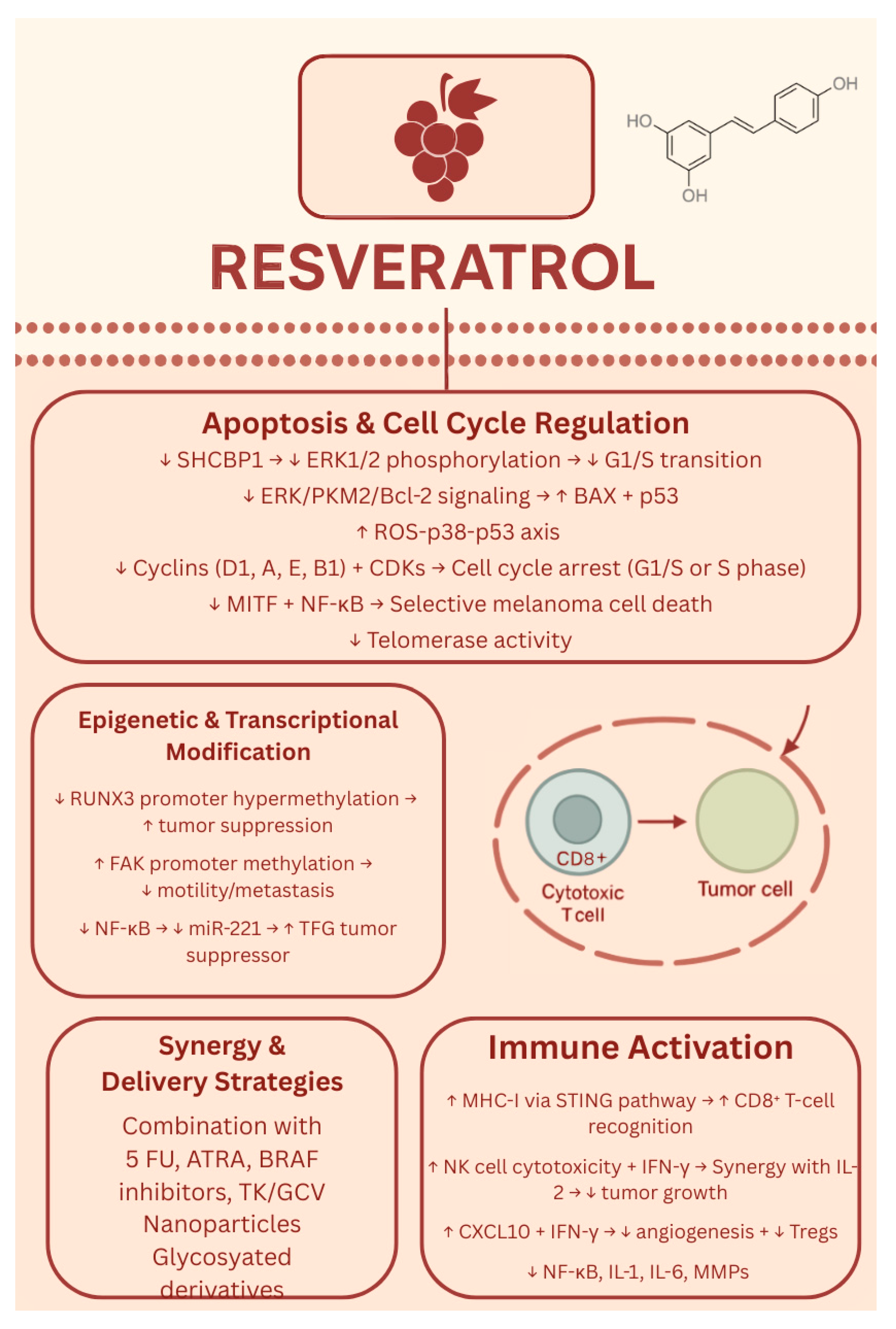 Biology 14 01772 g005