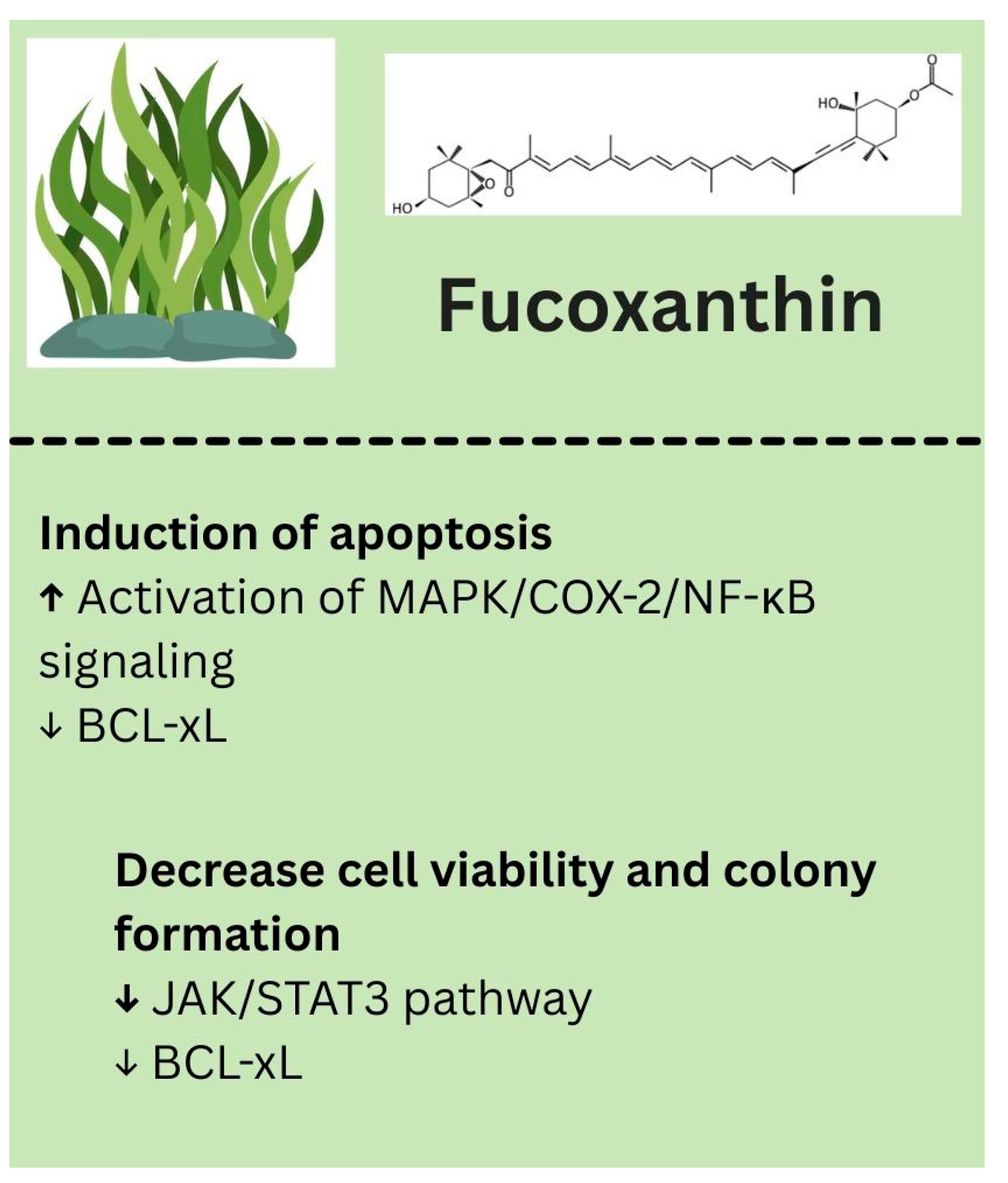 Biology 14 01772 g006
