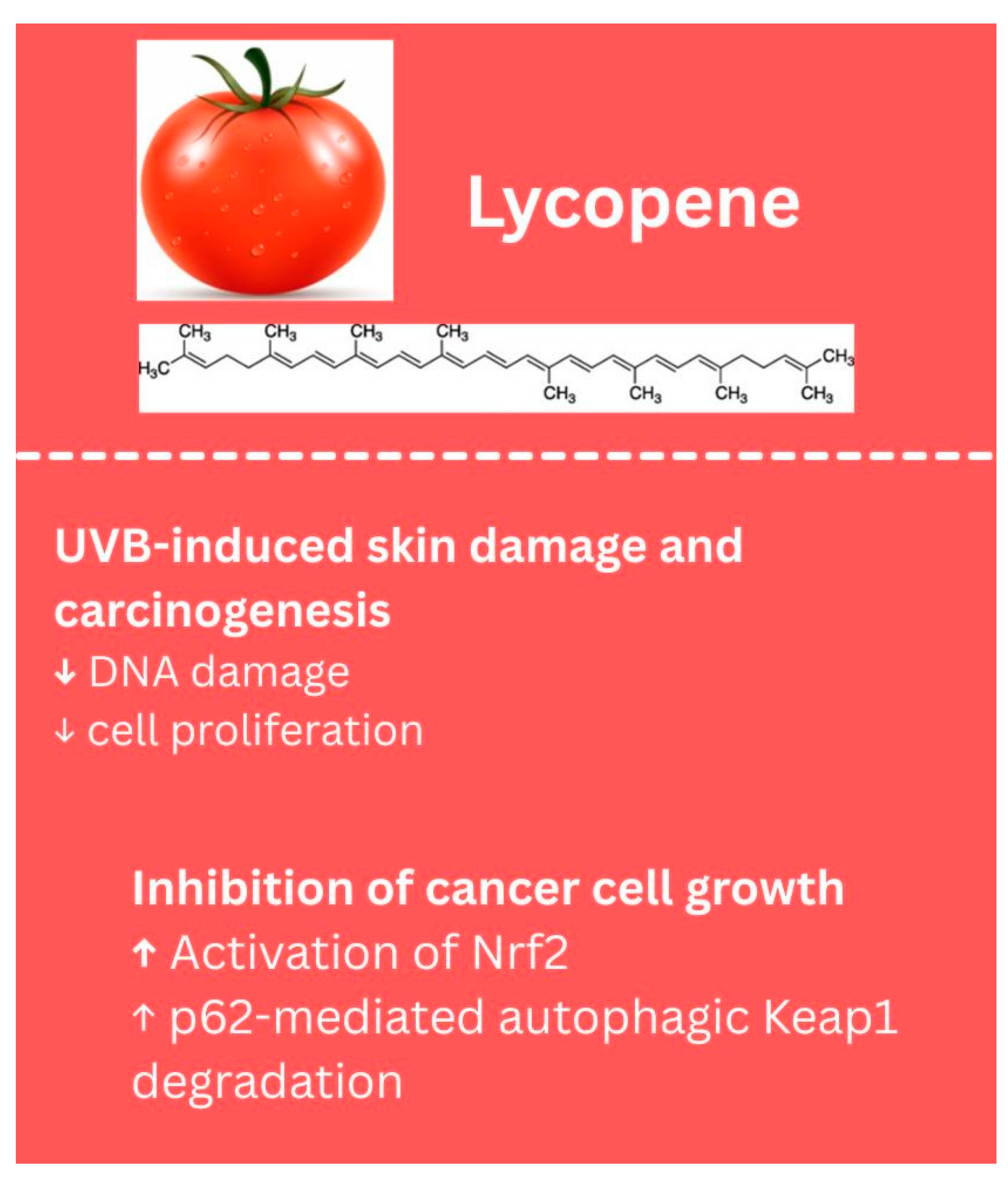 Biology 14 01772 g007