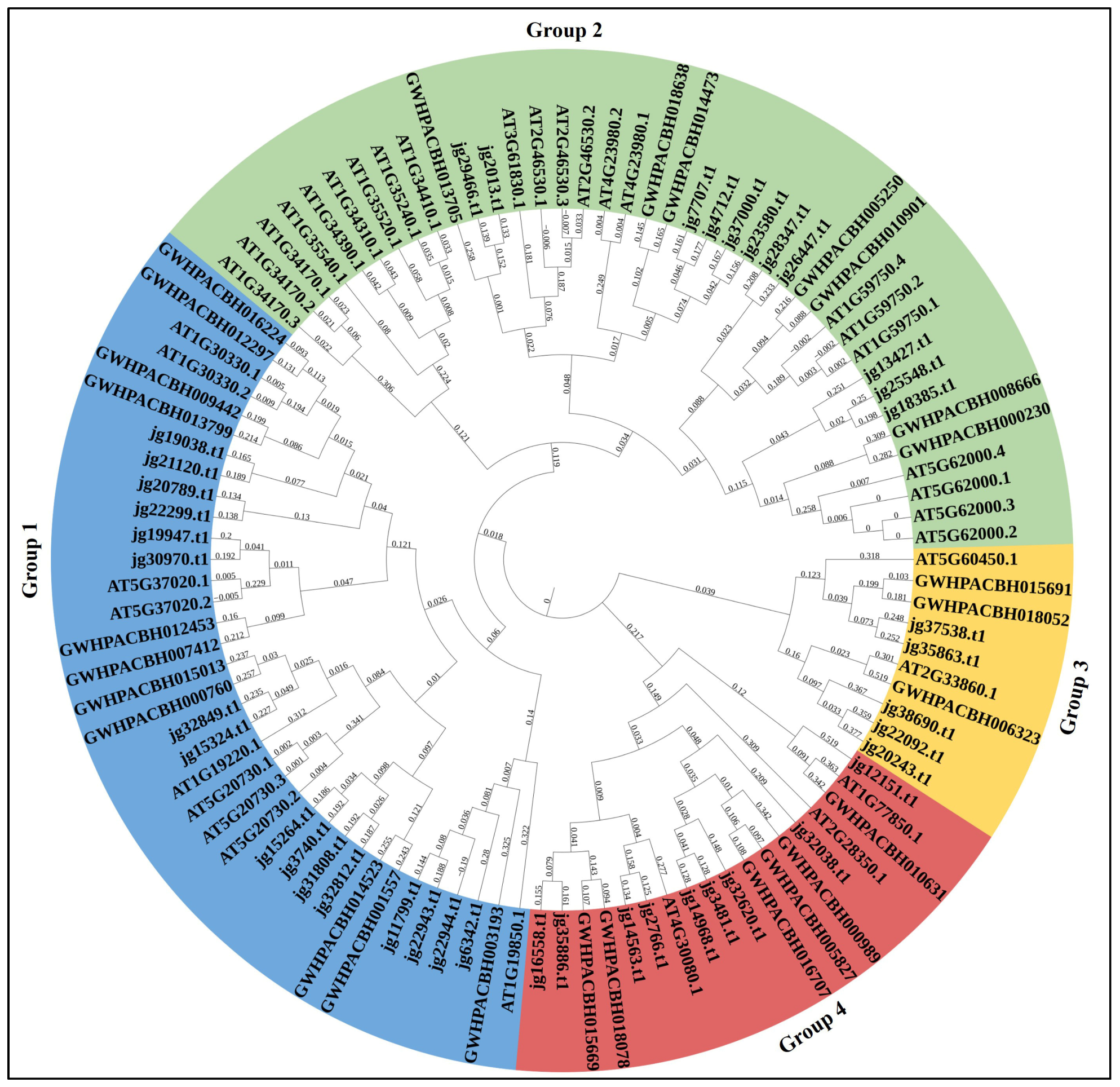 Biology 14 01774 g002 Biology 14 01774 g002