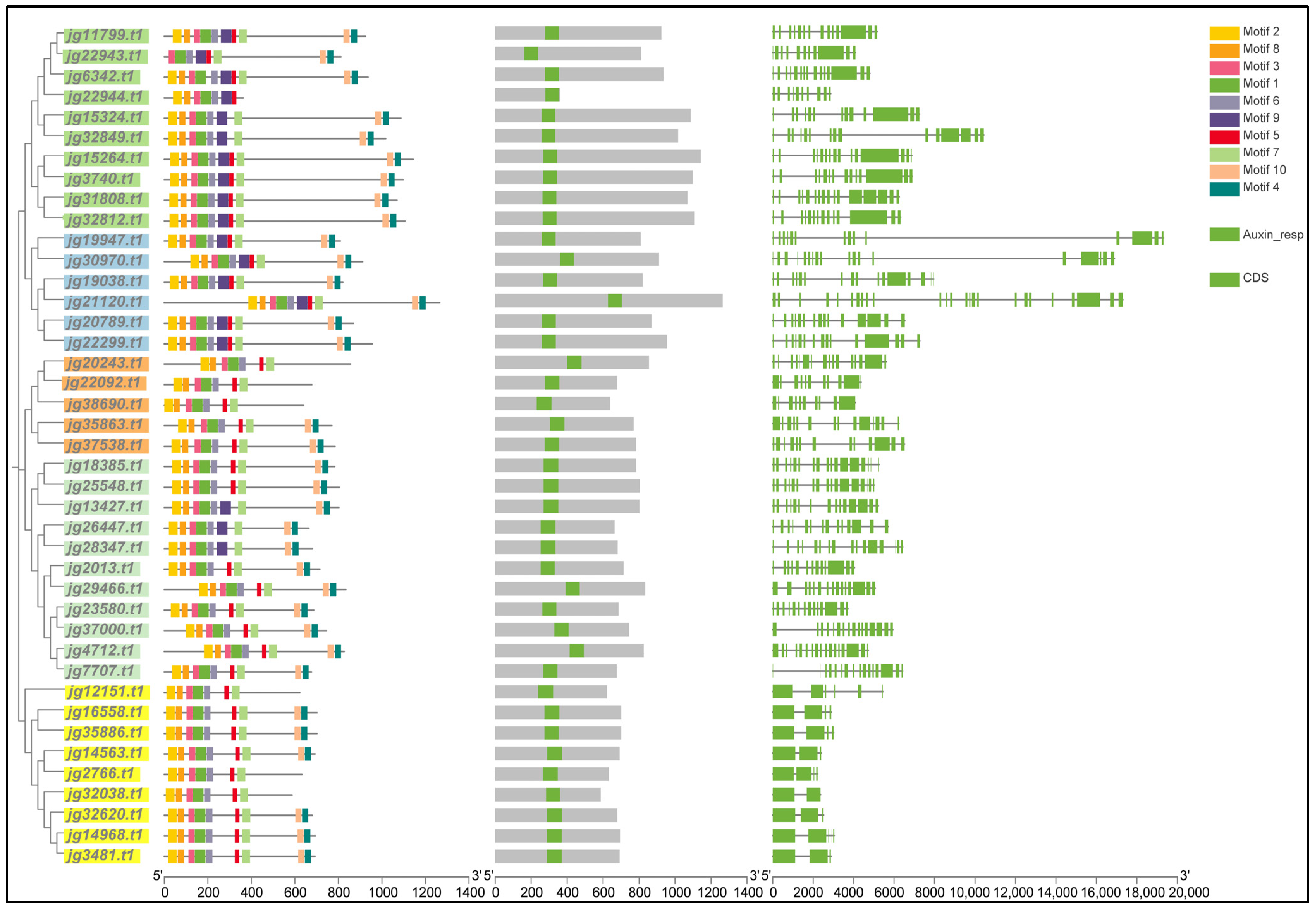 Biology 14 01774 g003 Biology 14 01774 g003